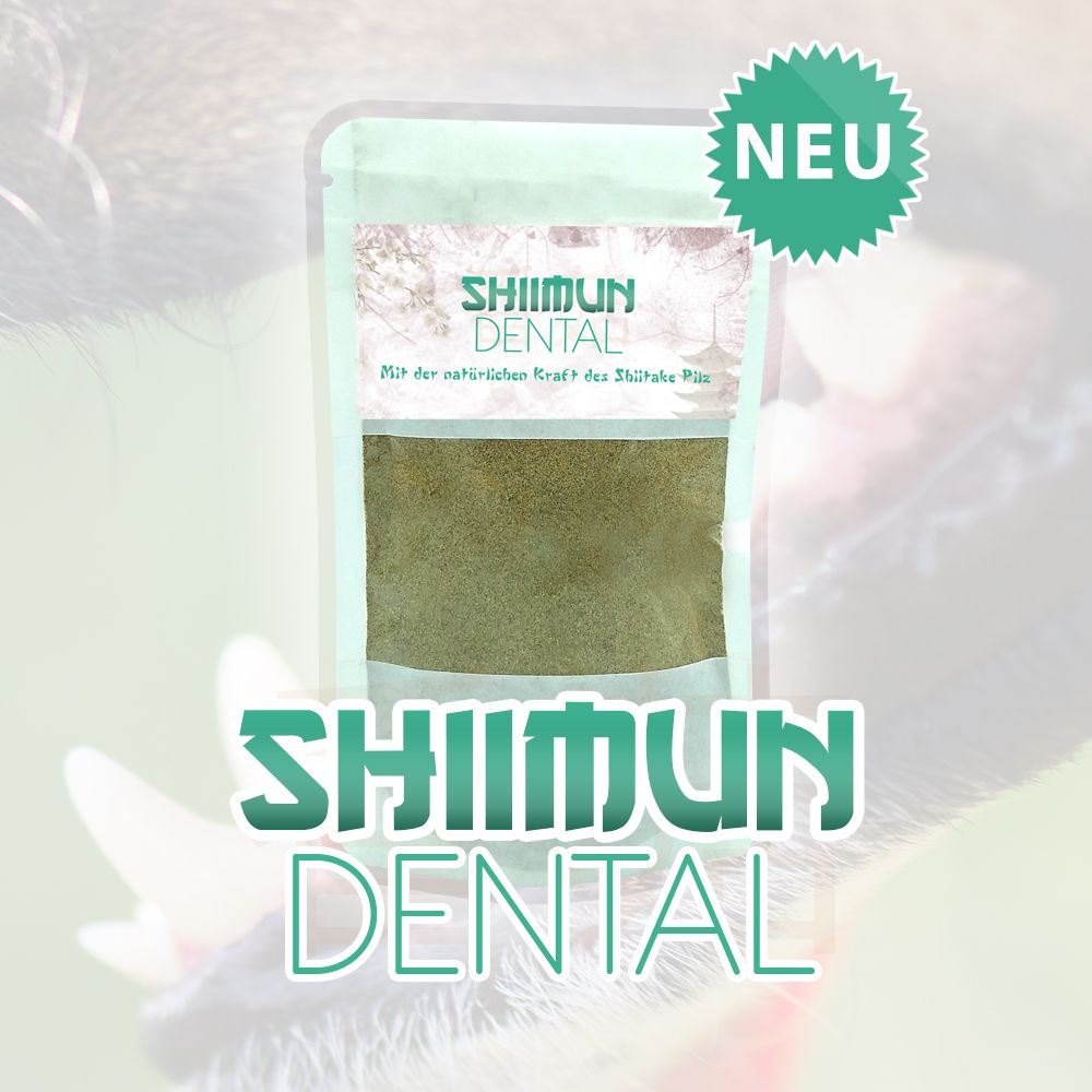 Beutel mit Pulver. Aufschrift: SHIIMUN DENTAL. Grünes Etikett mit 'NEU'. Hintergrund: Hundemaul.