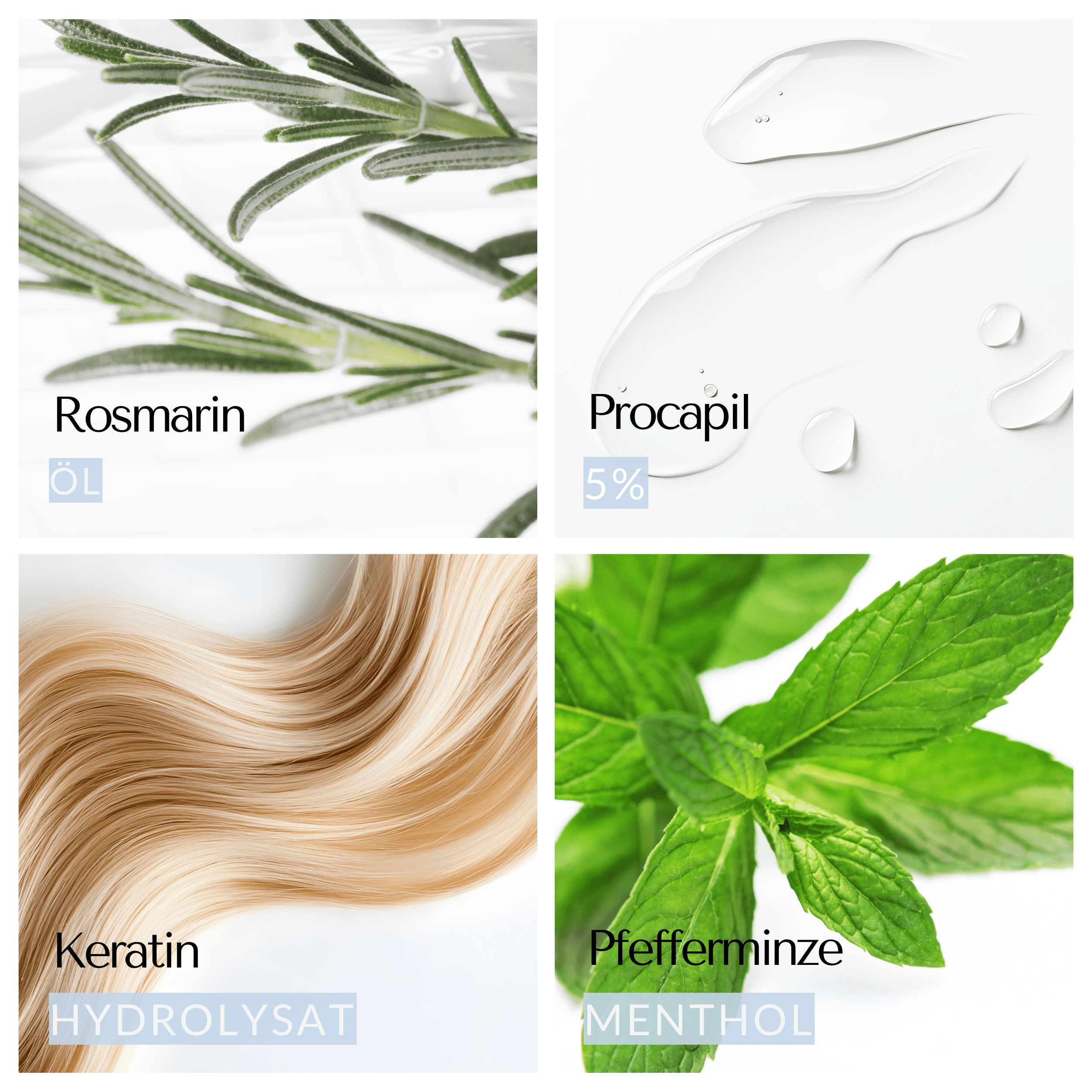 Vier Bilder: Rosmarin, Procapil 5%, Keratin, Pfefferminze. Inhaltsstoffe des Sprays.
