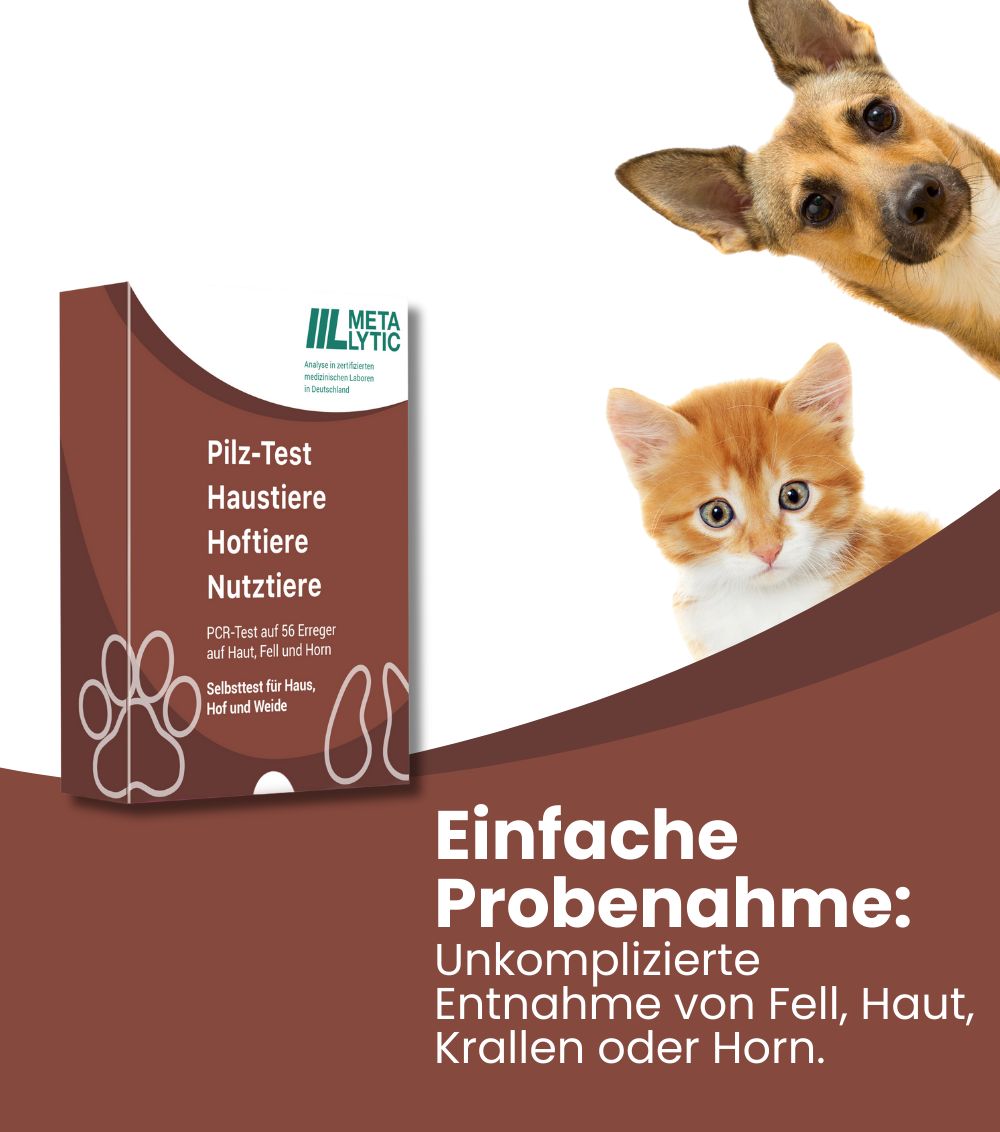 MetaLytic Pilz Test für Tiere (Hautpilz, Pfotenpilz und Hufpilz)