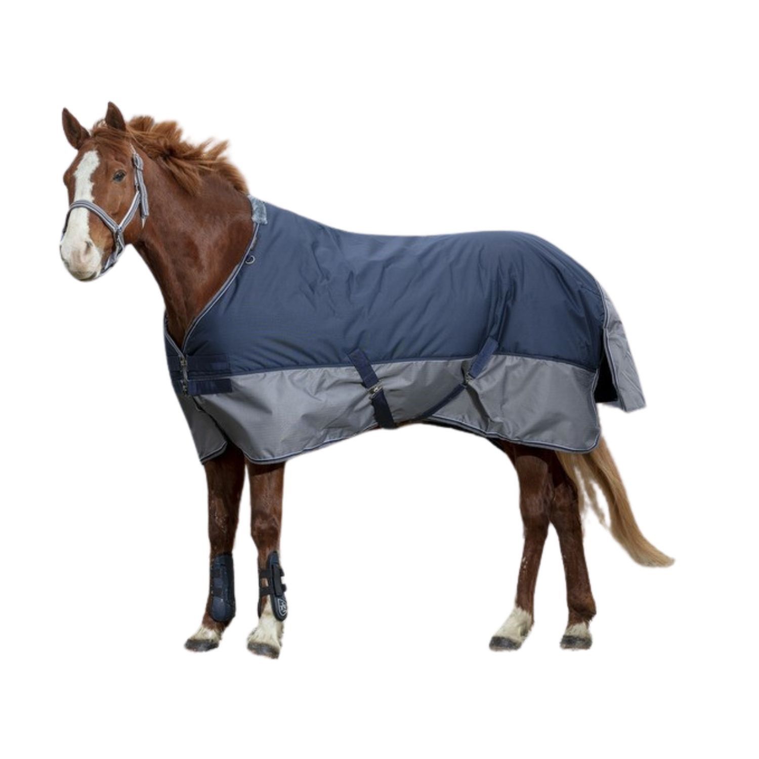 Equitheme Tyrex Outdoordecke