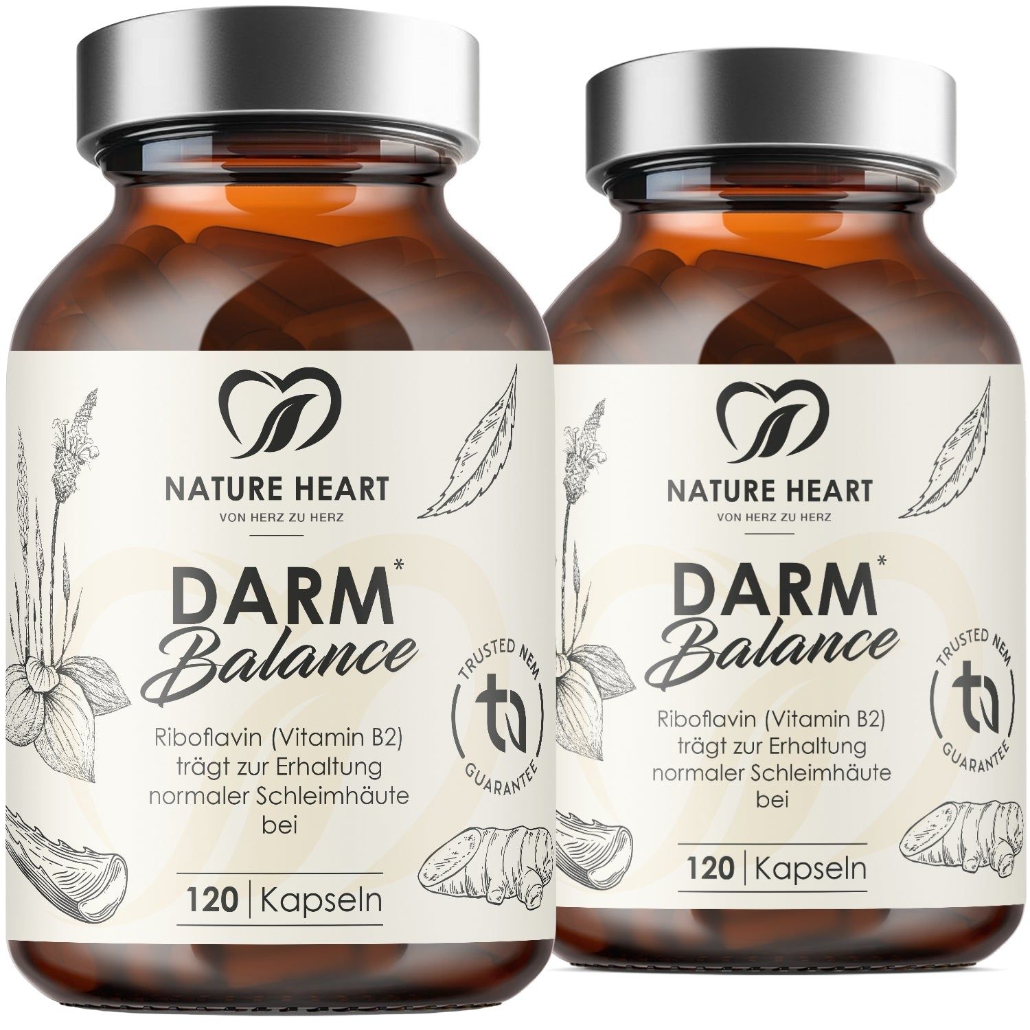 Nature Heart Darm Balance 2x120 St Kapseln
