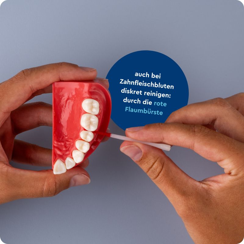 Paro Brush-Sticks – Interdentalbürste & Zahnstocher
