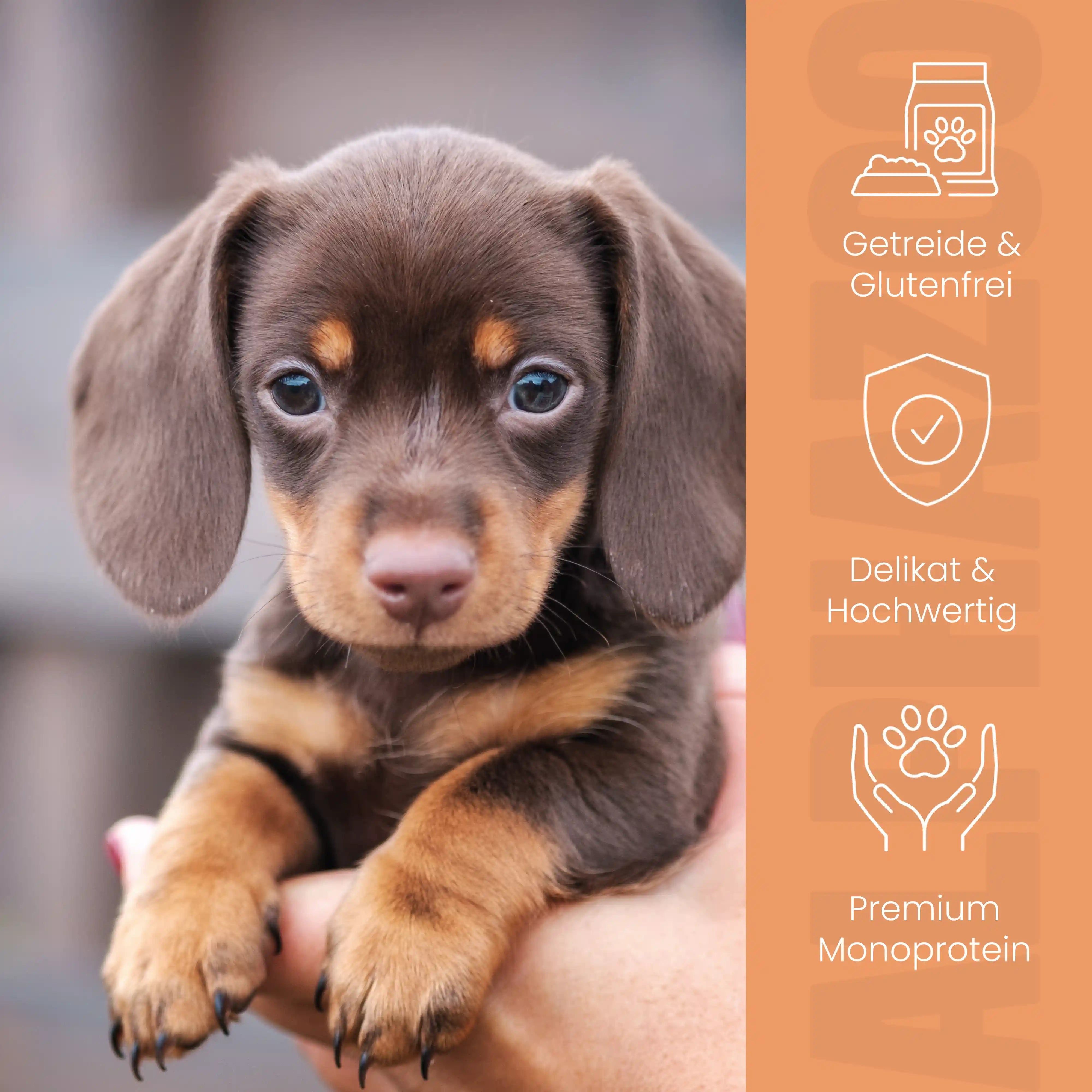 alphazoo Ente + Huhn Nassfutter für Welpen