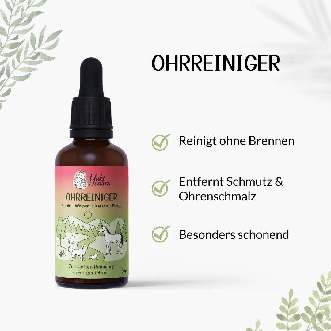 Braune Flasche mit Tropfer. Etikett: Ohrreiniger. Grüne Check-Symbole mit Text. Ohrenreiniger reinigt ohne Brennen.