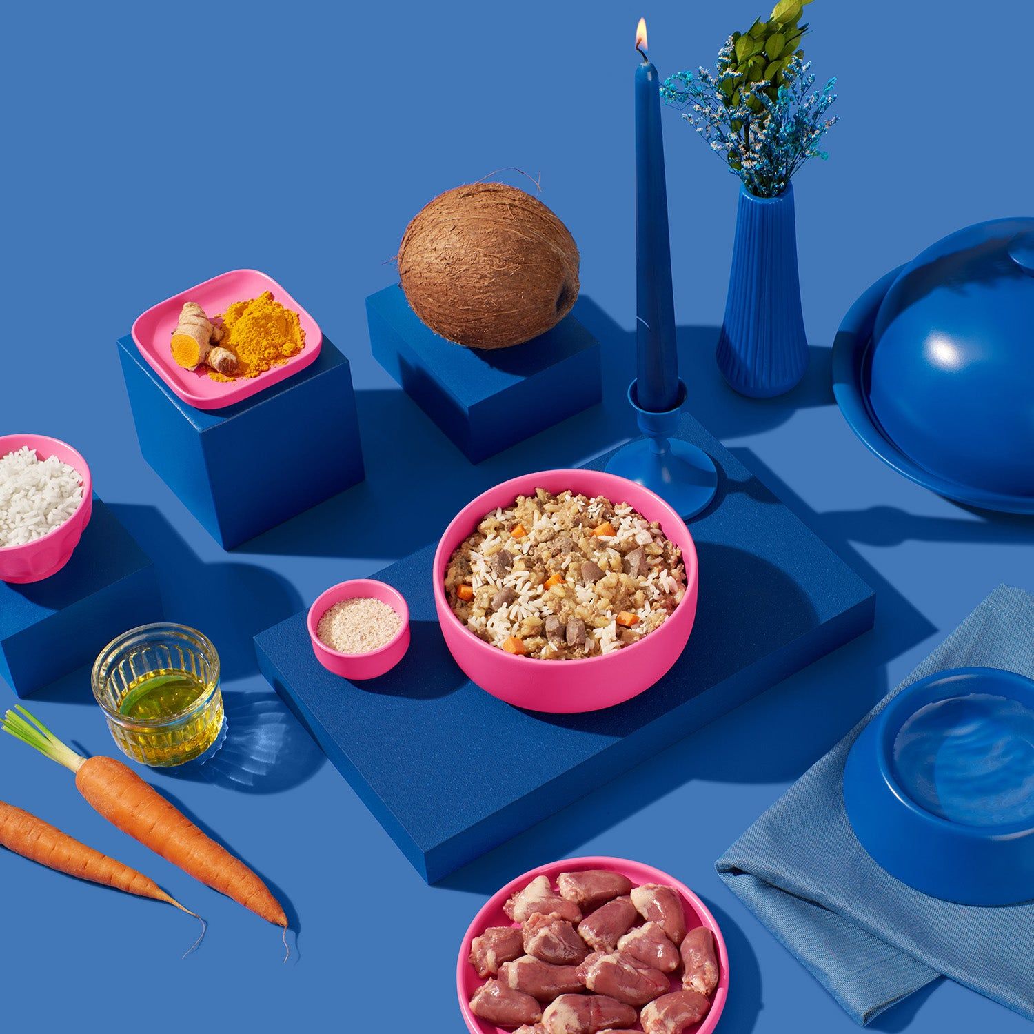 Verschiedene Zutaten auf blauen Podesten. Rosa Schälchen mit Futter, Kokosnuss, Karotten, Kurkuma, Öl, Kerze, Wassernapf.