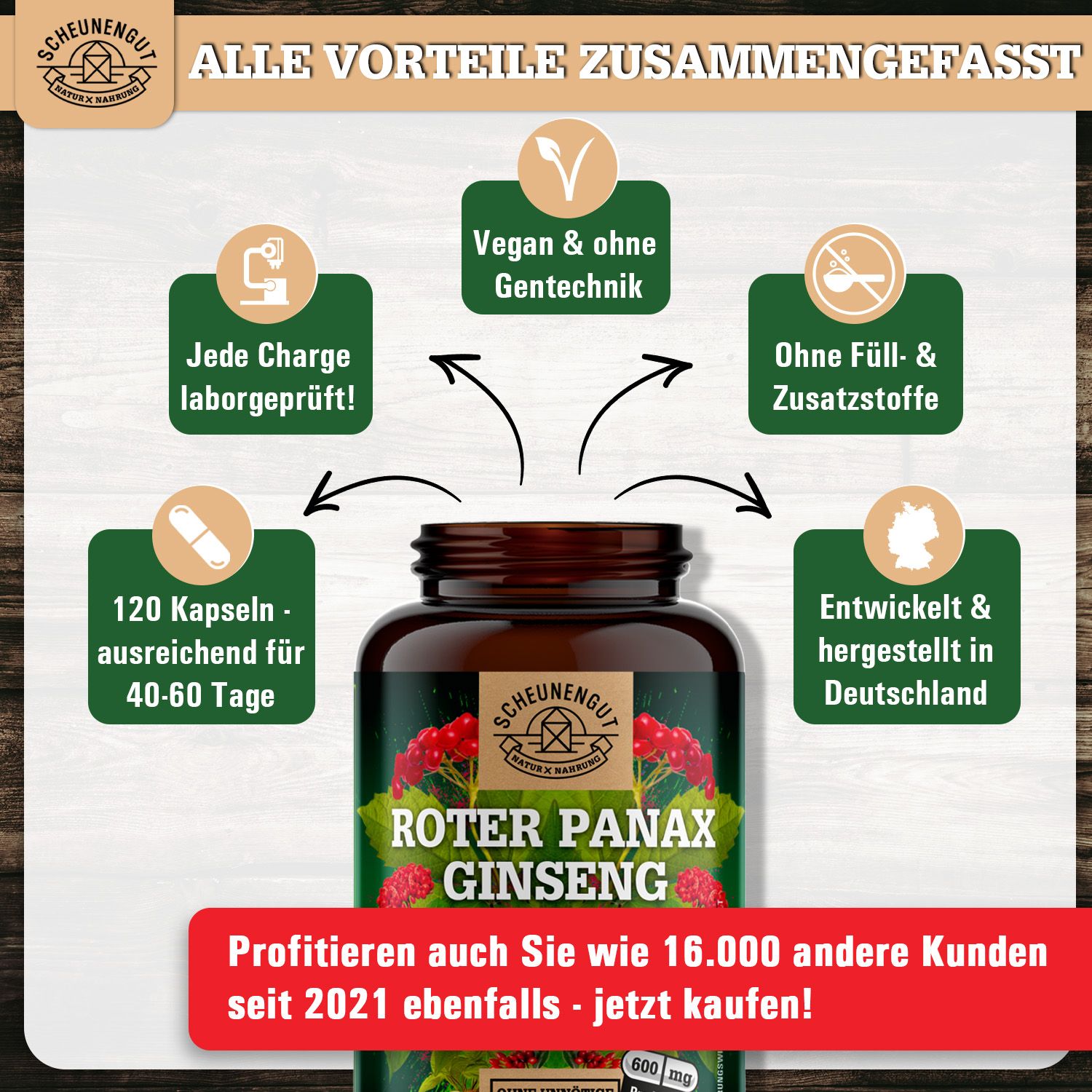 Braune Flasche mit Kapseln. Roter Panax Ginseng-Etikett. Vorteile: Laborgeprüft, vegan, ohne Zusätze, hergestellt in Deutschland.