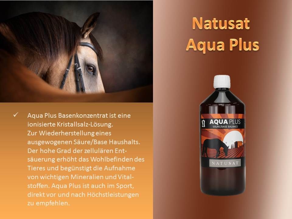 Natusat Aqua plus Basenkonzentrat 1000 ml Flüssigkeit