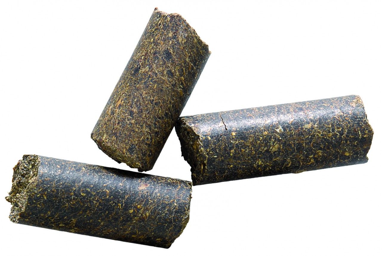 Derby Pferdeleckerlies Leckerleicht