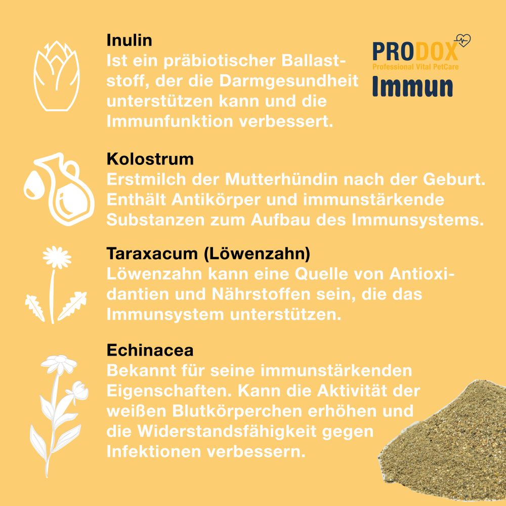 Gelber Hintergrund mit Text und Pulver. Text: Inulin, Kolostrum, Taraxacum, Echinacea. Dose: PRODOX, Immun.