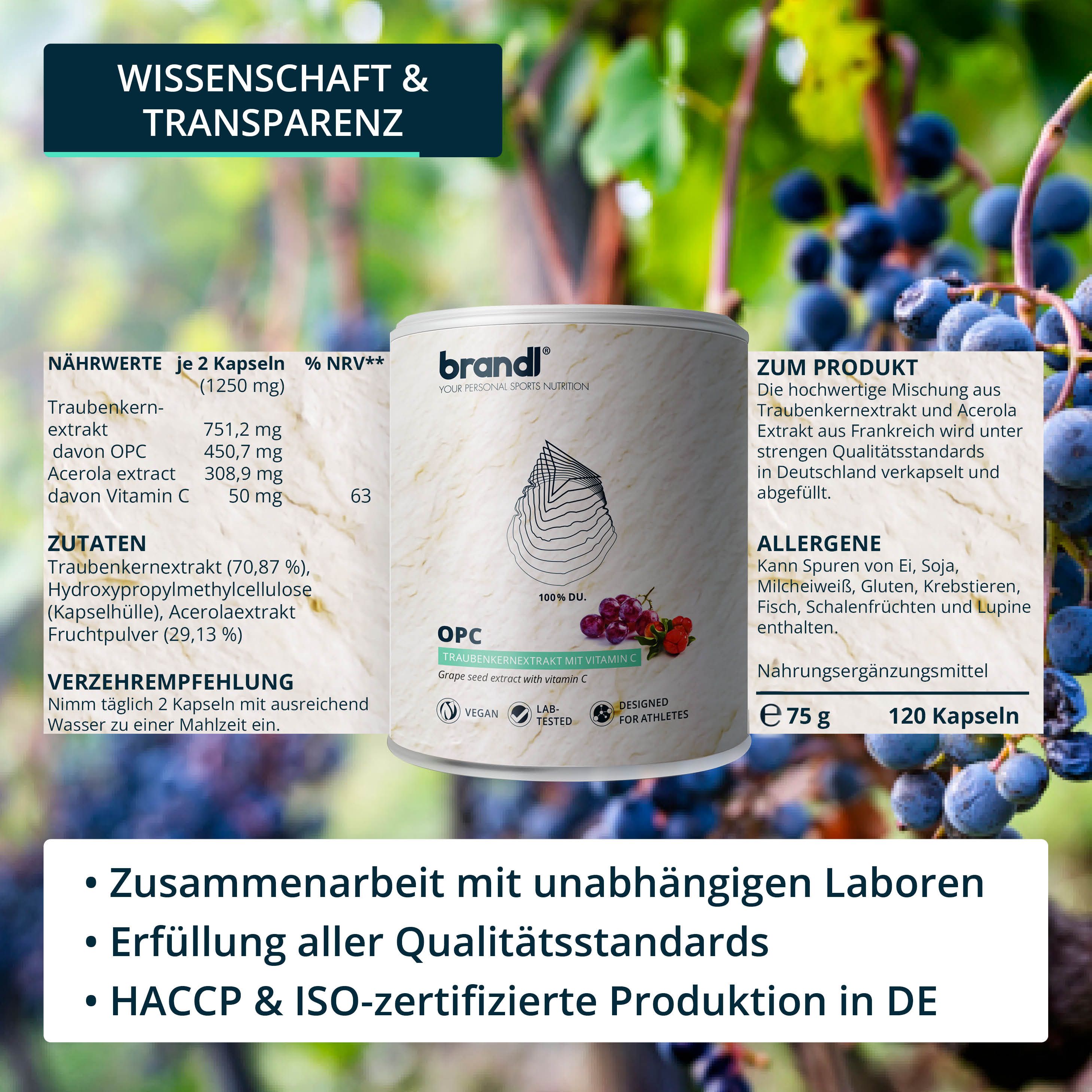 brandl® OPC Traubenkernextrakt mit Vitamin C aus Acerola 120 St - Shop ...