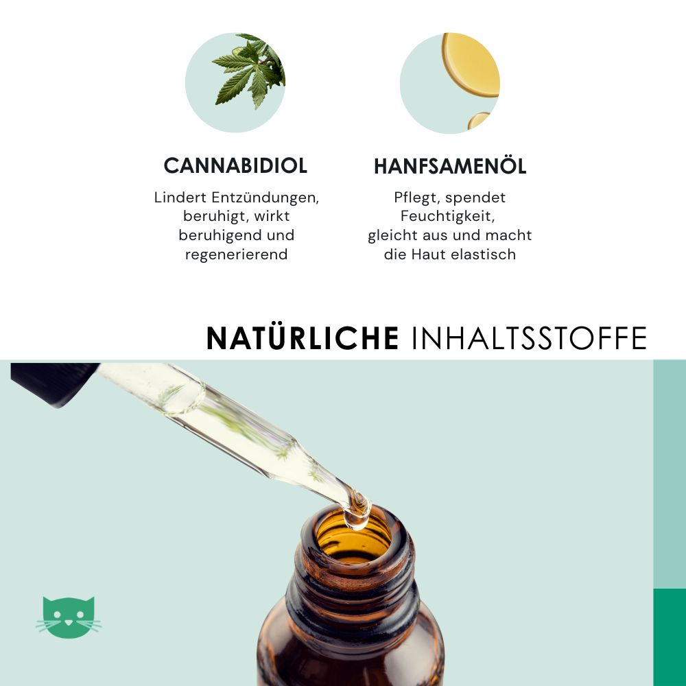 Grafik mit Cannabidiol und Hanfsamenöl. Text beschreibt Inhaltsstoffe und deren Wirkung.