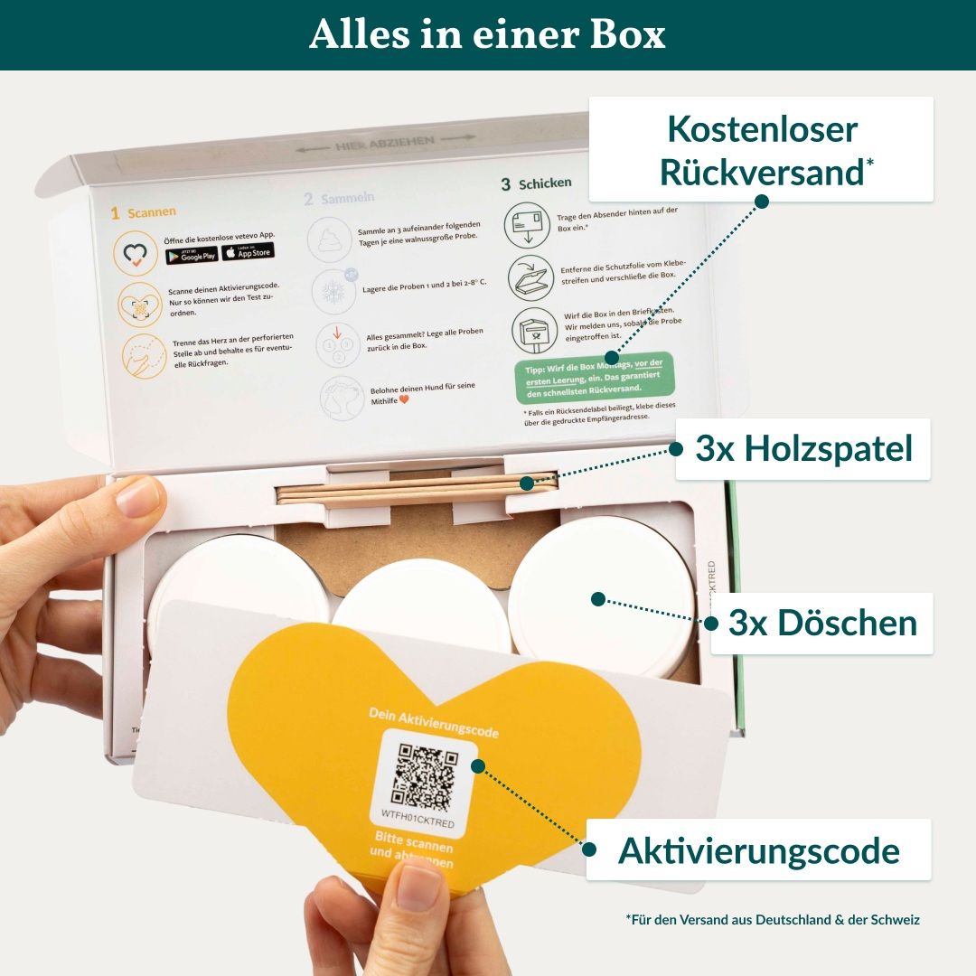 Geöffnete Box mit Testmaterialien: Holzspatel, Probenröhrchen und Aktivierungscode.