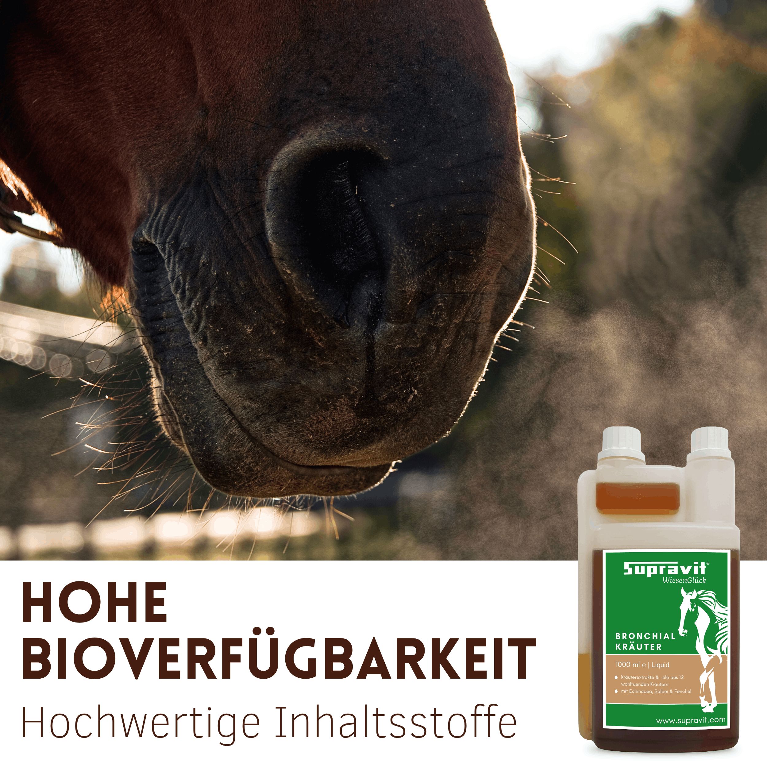 Produktflasche mit Etikett neben einem Pferd. Auf dem Etikett steht "Supravit Bronchialkräuter".