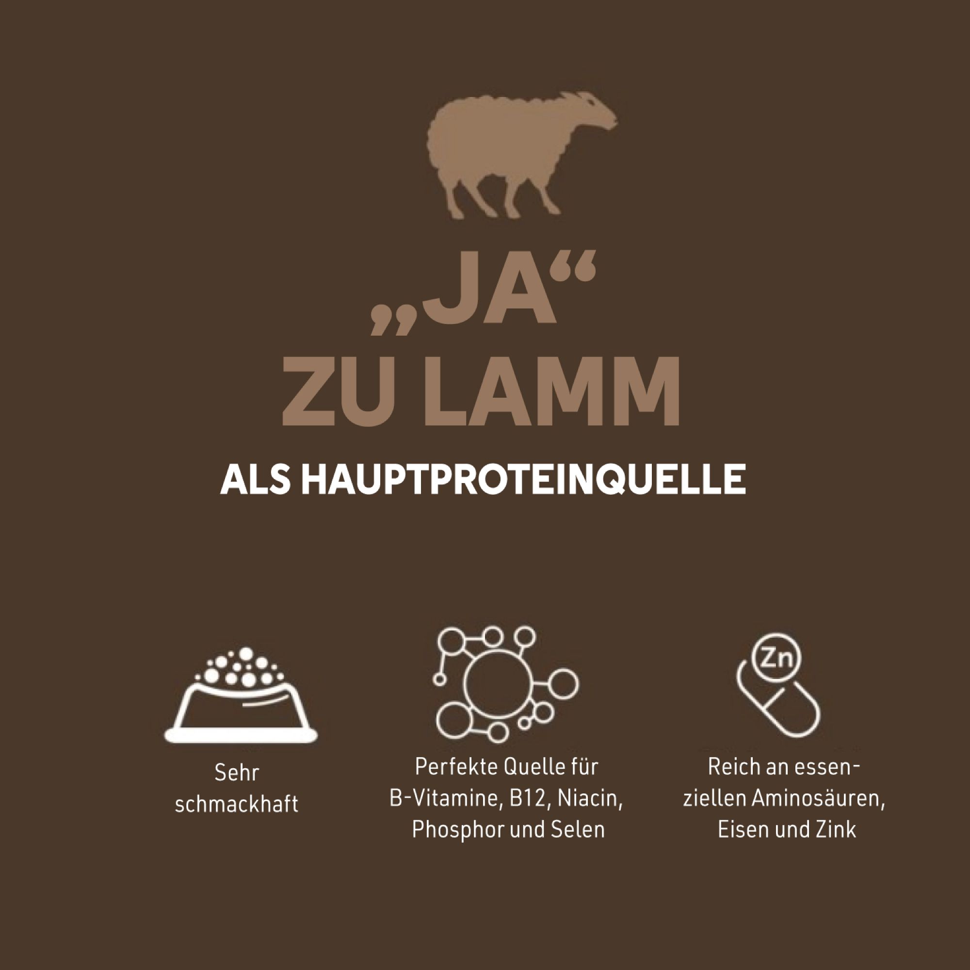 Brauner Hintergrund mit Text und Symbolen. Text: Ja zu Lamm als Hauptproteinquelle. Symbole: Schmackhaft, Vitamine, Eisen und Zink.