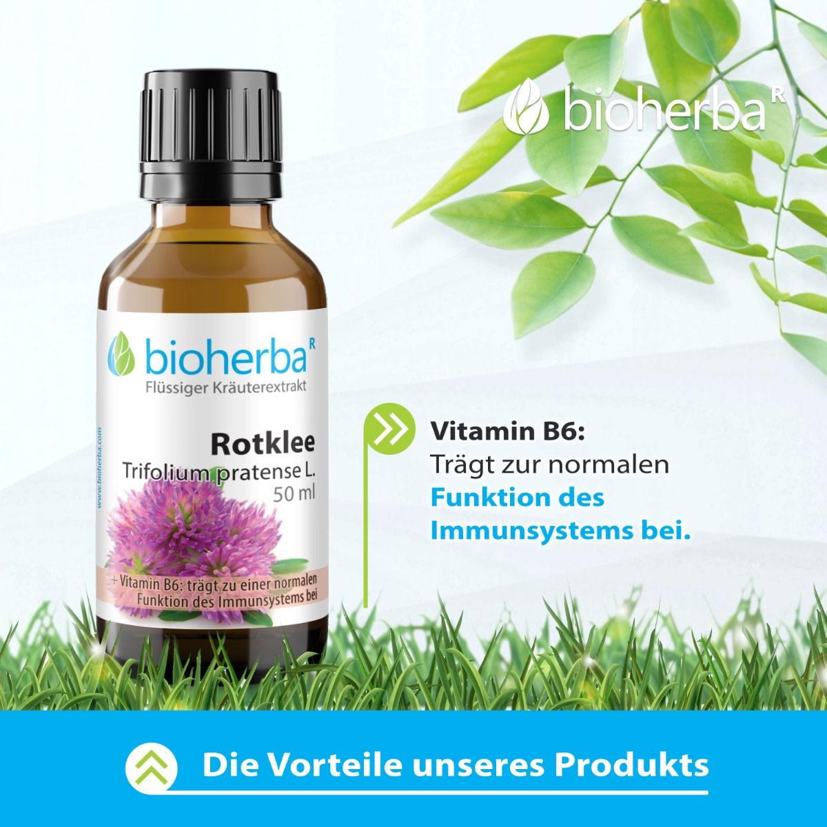 Braune Glasflasche mit Etikett. Text: Rotklee, Trifolium pratense L. und Vitamin B6. Grünpflanzen im Hintergrund.