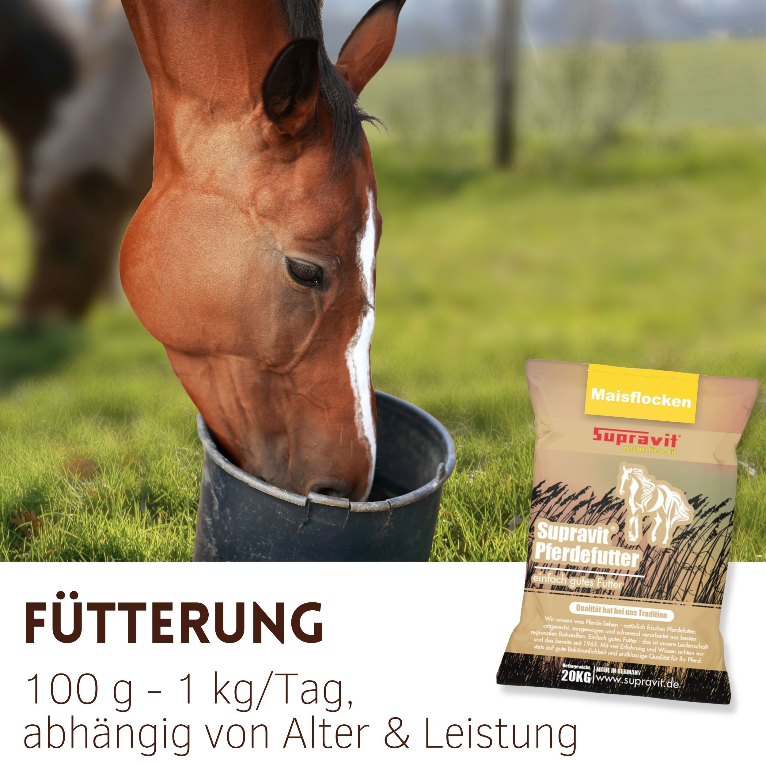 Pferd trinkt aus einem Eimer. Rechts: Futtersack mit Maisflocken, Marke Supravit. Text: Fütterung, 100 g - 1 kg/Tag, abhängig von Alter & Leistung.