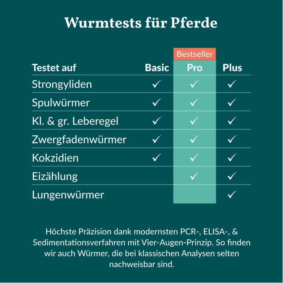 Vergleichstabelle der Wurmtests Basic, Pro und Plus für Pferde, mit aufgelisteten Parasiten.