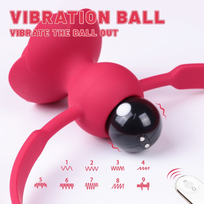Roter Mundknebel mit Rosenblüten-Design. Text: VIBRATION BALL. Fernbedienung mit Wellenmustern. Auf weißem Hintergrund.