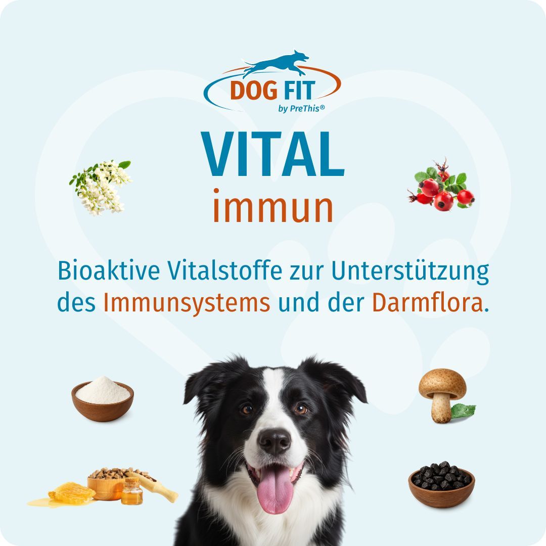 Hund mit Zunge, umgeben von Zutaten und Text: DOG FIT VITAL immun. Bioaktive Vitalstoffe für das Immunsystem.