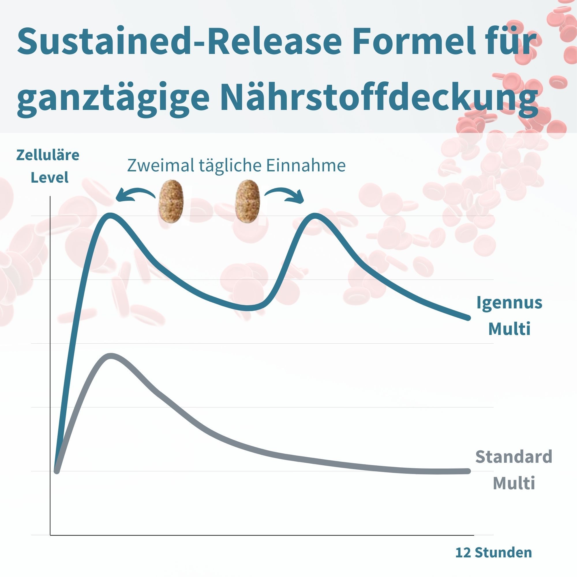 Grafik: Nährstofffreisetzung über 12 Stunden. Igennus Multi und Standard Multi. Zweimal tägliche Einnahme.
