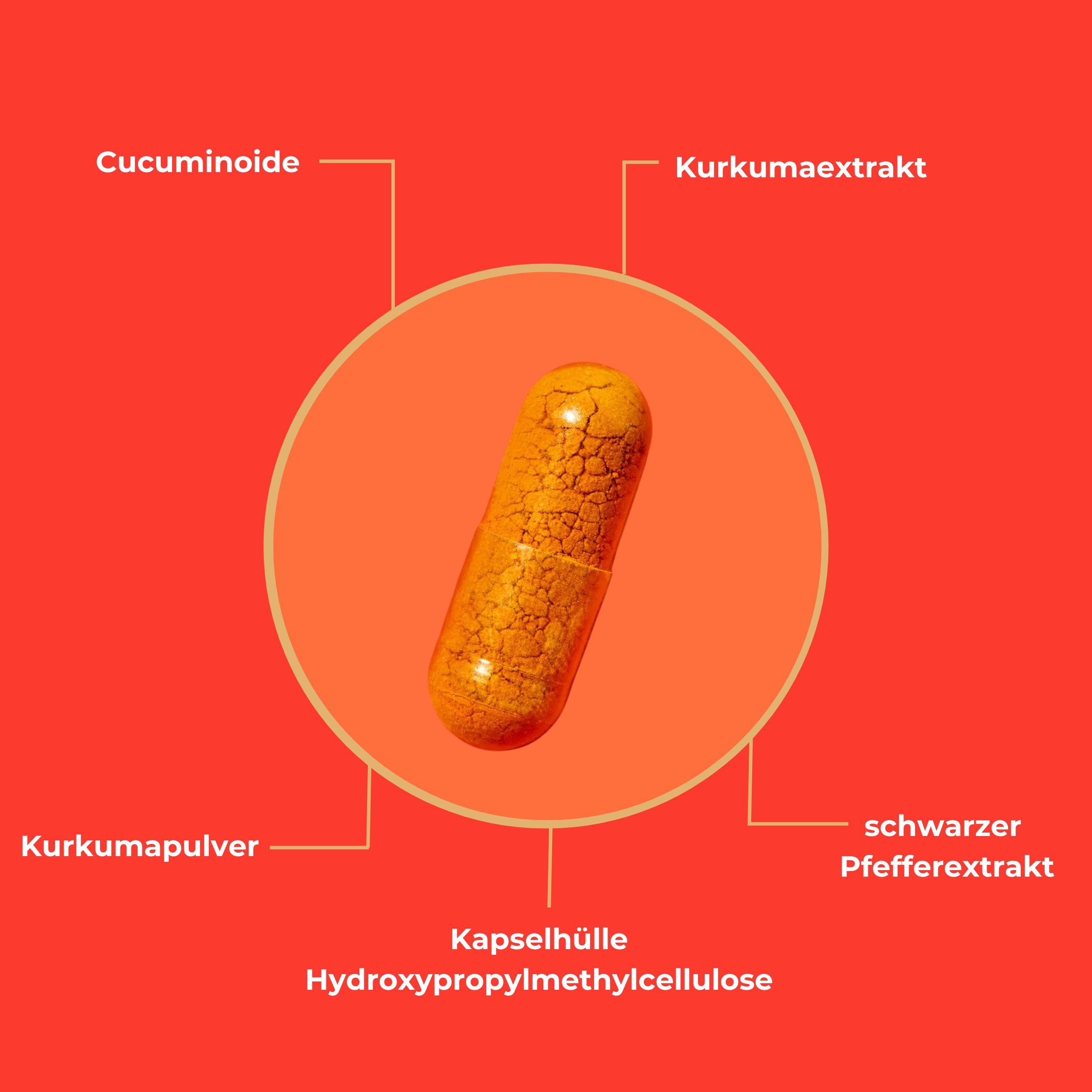 Viktilabs Kurkuma: Kombination aus Extrakt, Pulver und Piperin