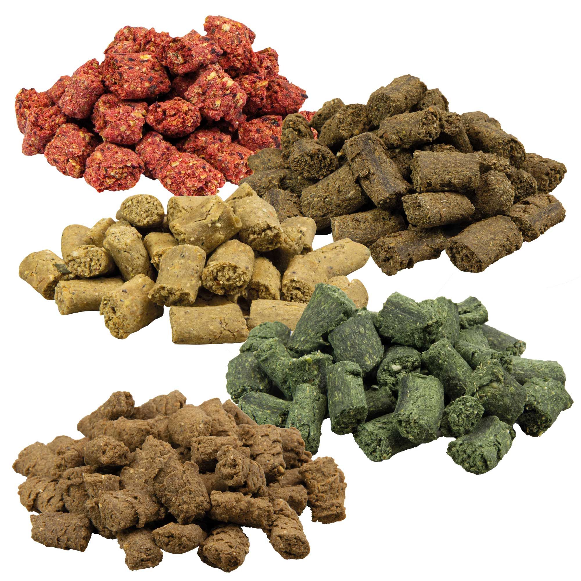 Verschiedene Hundesnacks in Rot, Grün, Braun und Beige. Geformt in unregelmäßigen Stücken, leicht strukturiert.