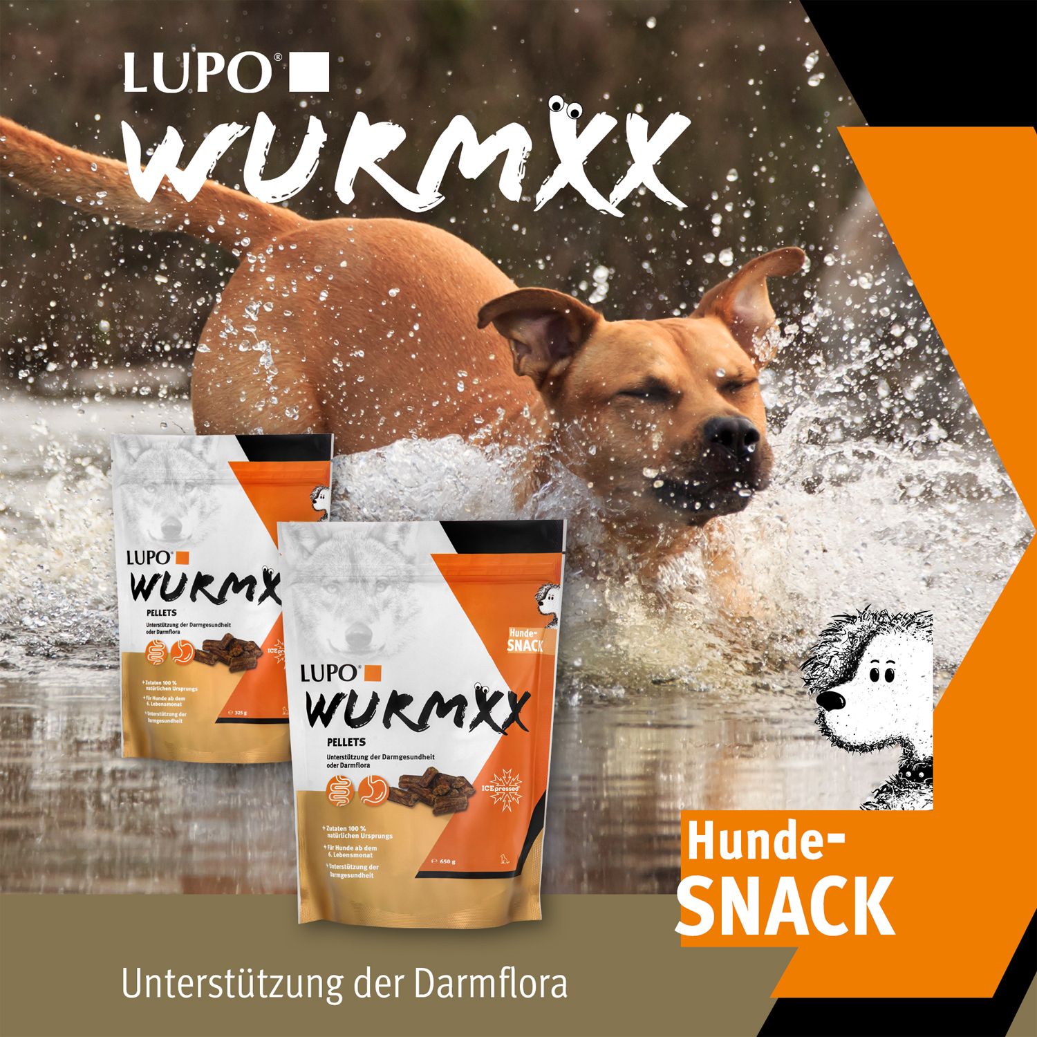 Hund im Wasser, umgeben von drei LUPO WURMXX Pellets Beuteln. Text: Unterstützung der Darmflora.