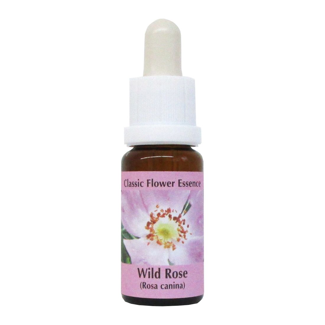 PHI Essences - Wild Rose Bachblüte Nr. 37