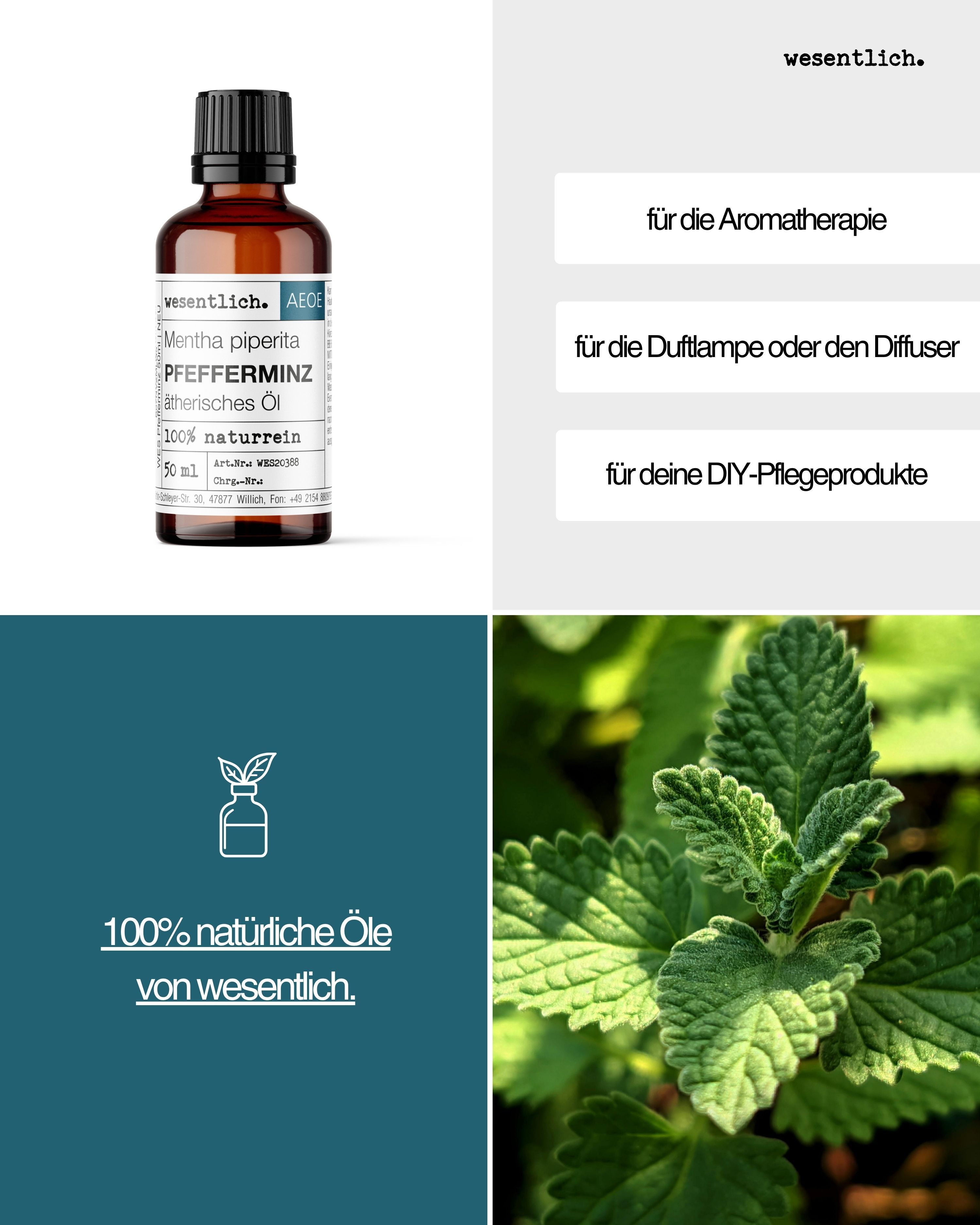 Collage: Flasche Pfefferminzöl, Text "für die Aromatherapie", "für die Duftlampe oder den Diffuser", "für deine DIY-Pflegeprodukte", und ein Bild von Pfefferminzblättern.