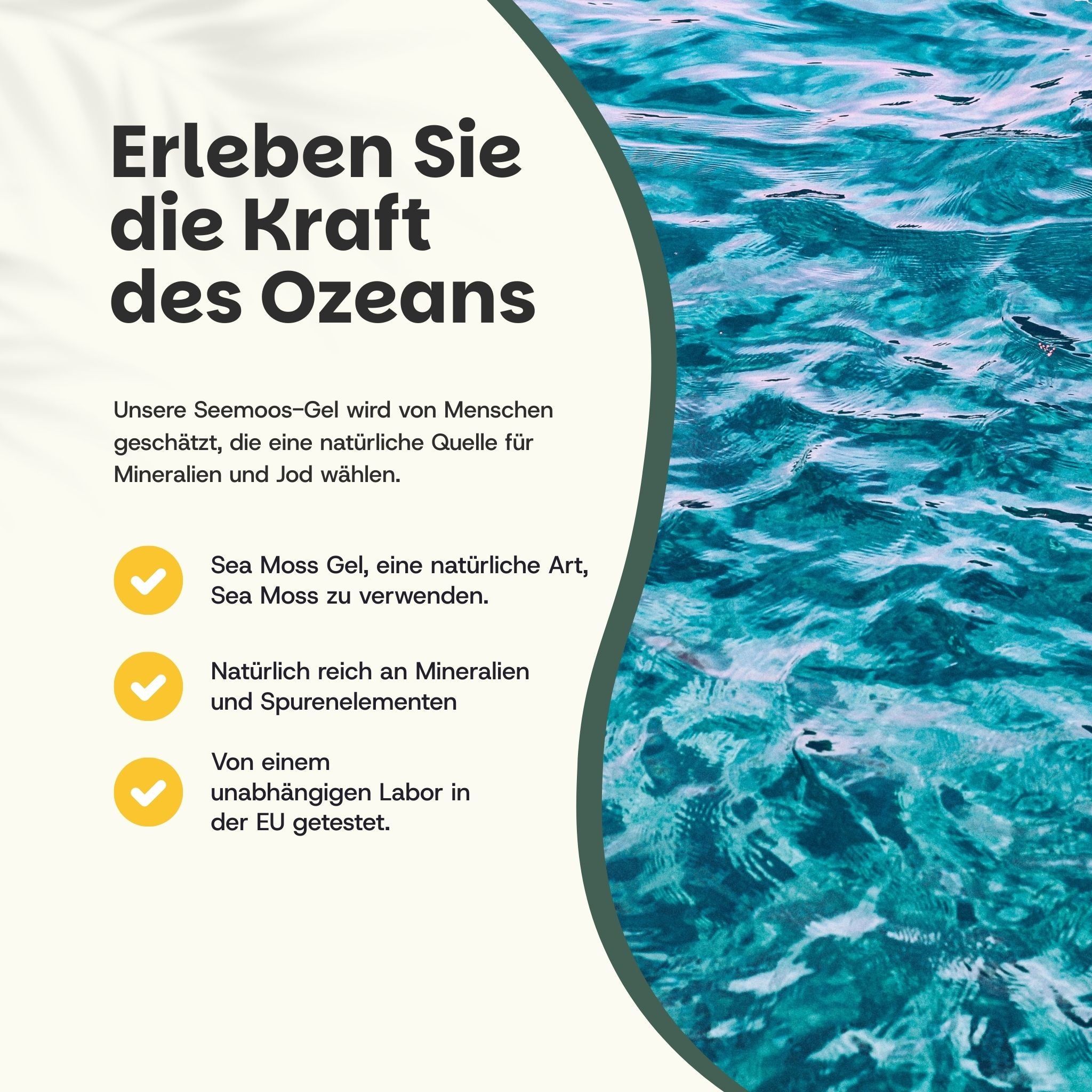 Text auf blauem Hintergrund: Erleben Sie die Kraft des Ozeans. Sea Moss Gel, eine natürliche Art, Sea Moss zu verwenden. Reich an Mineralien.
