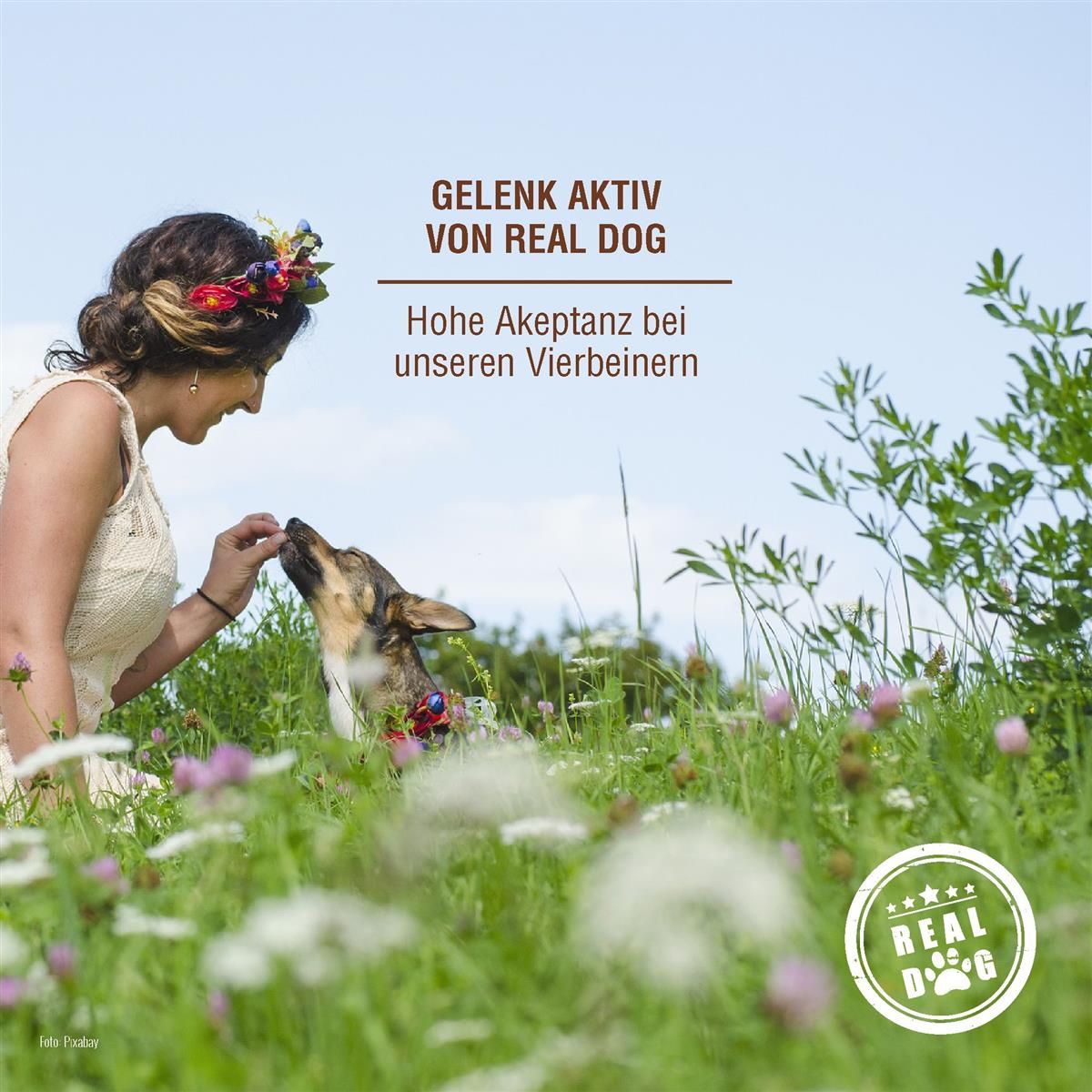 Frau und Hund im Gras. Text: GELENK AKTIV VON REAL DOG. Hohe Akzeptanz bei unseren Vierbeinern. Logo: REAL DOG.