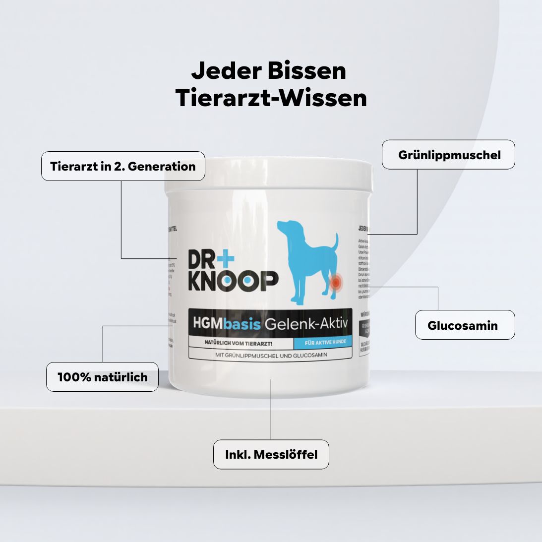 HGM Gelenkpulver aktiv Hunde, stärkt Gelenke durch Grünlippmuschel + Glucosamin, HGM 500g