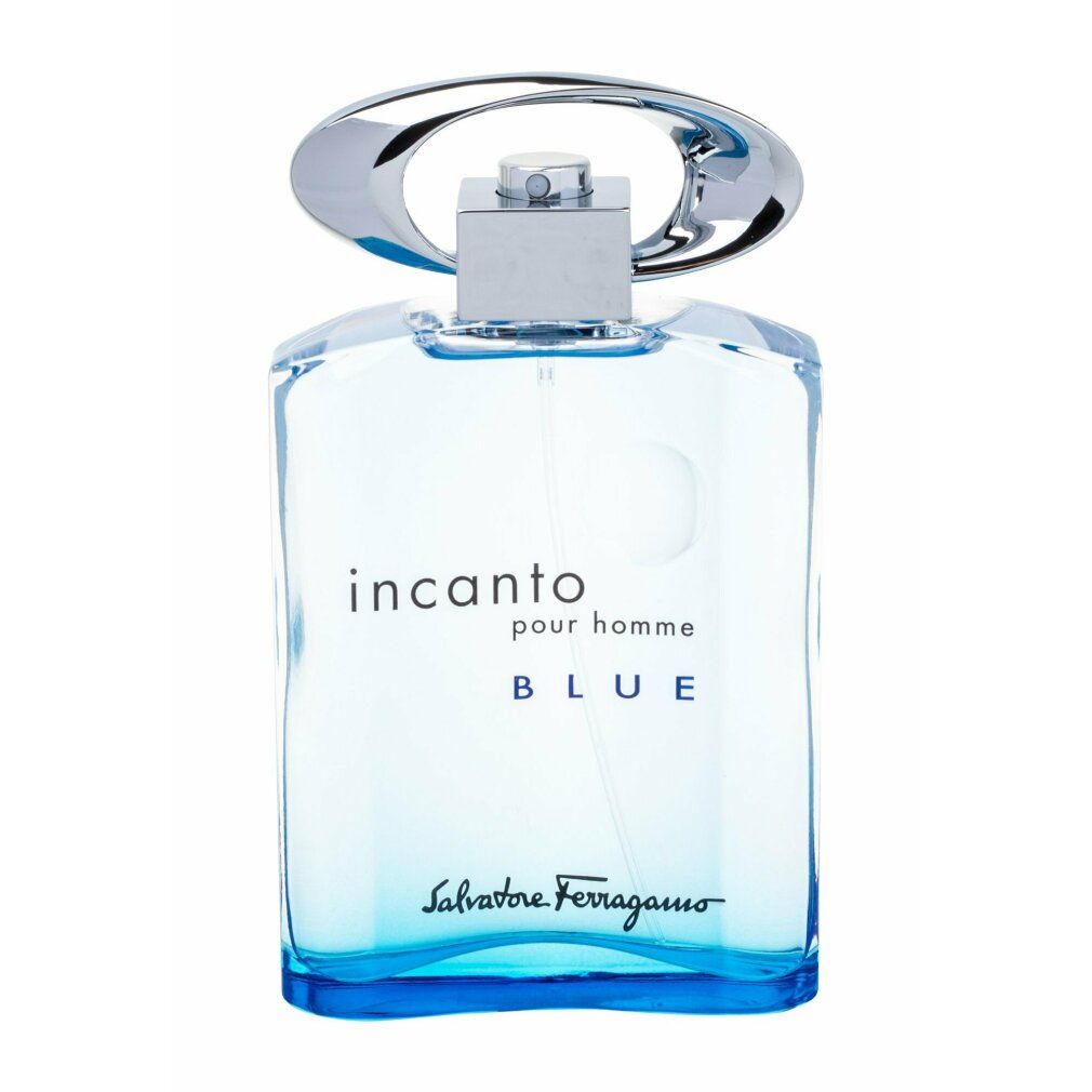 Salvatore Ferragamo Incanto Pour Homme Blue edt  Spray
