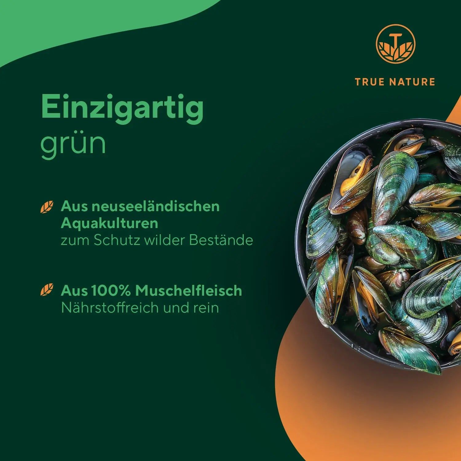 TRUE NATURE® Grünlippmuschel Kapseln - Neuseeländische 
