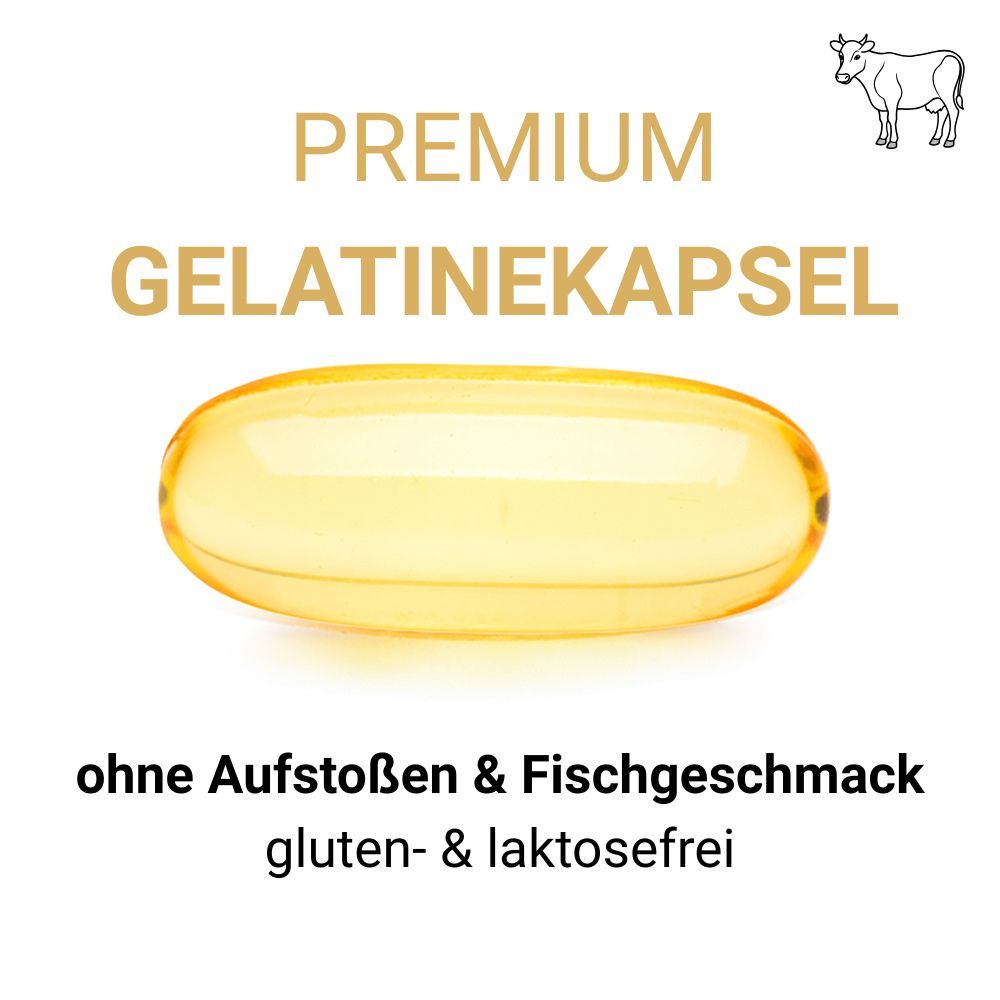 Gelatinekapsel. Text: Premium Gelatinekapsel, ohne Aufstoßen & Fischgeschmack, gluten- & laktosefrei. Abbildung einer Kapsel.