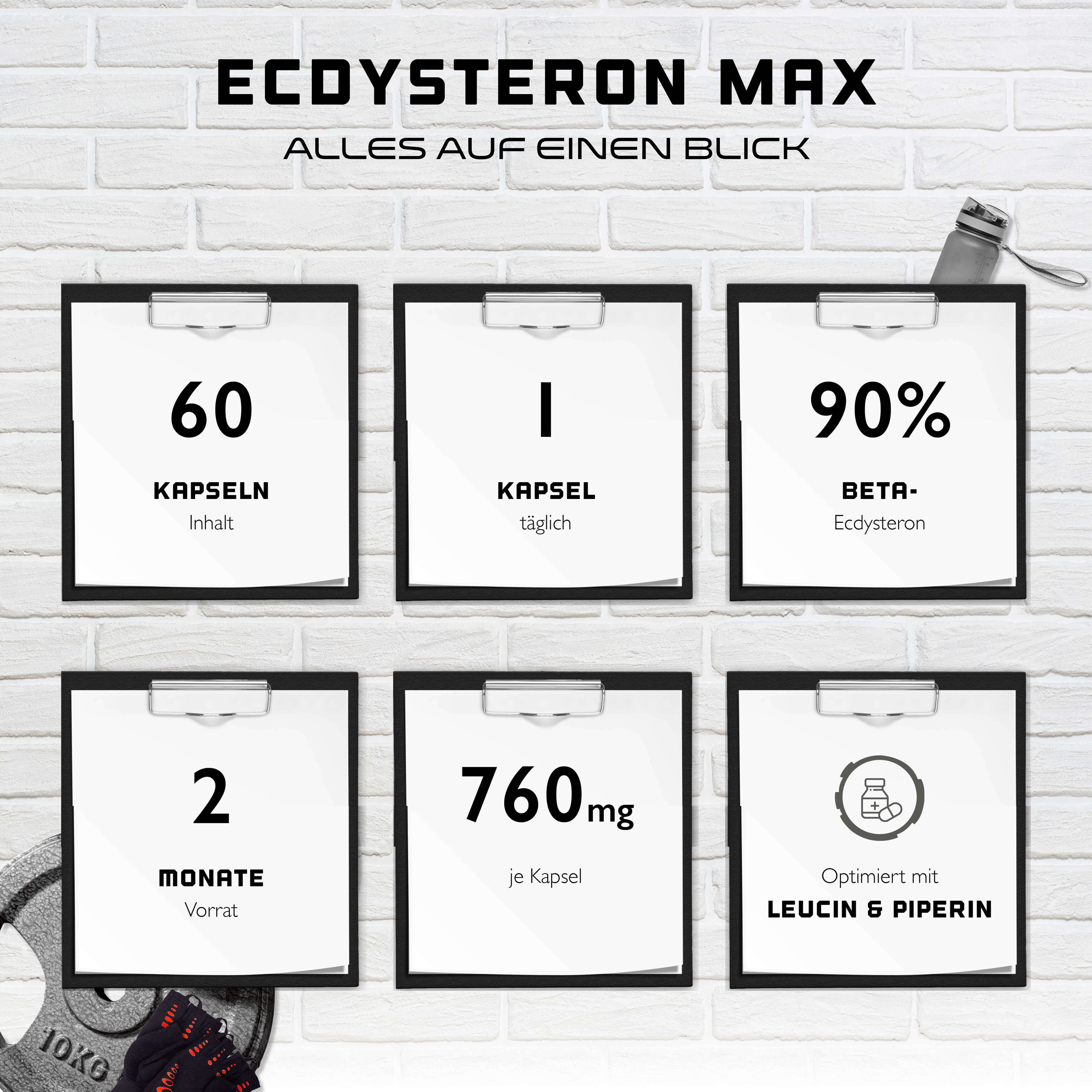 Infografik mit 6 Feldern. Zeigt 60 Kapseln, 1 Kapsel täglich, 90% Beta-Ecdysteron, 2 Monate Vorrat, 760mg pro Kapsel, Leucin & Piperin.