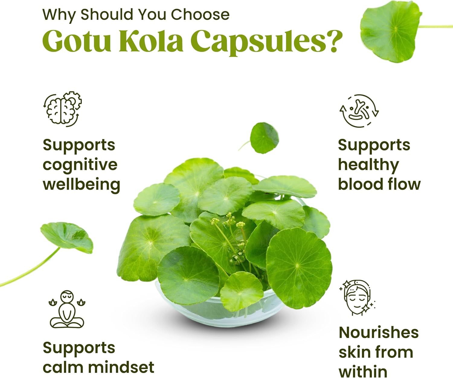 H&C Gotu Kola Kapseln