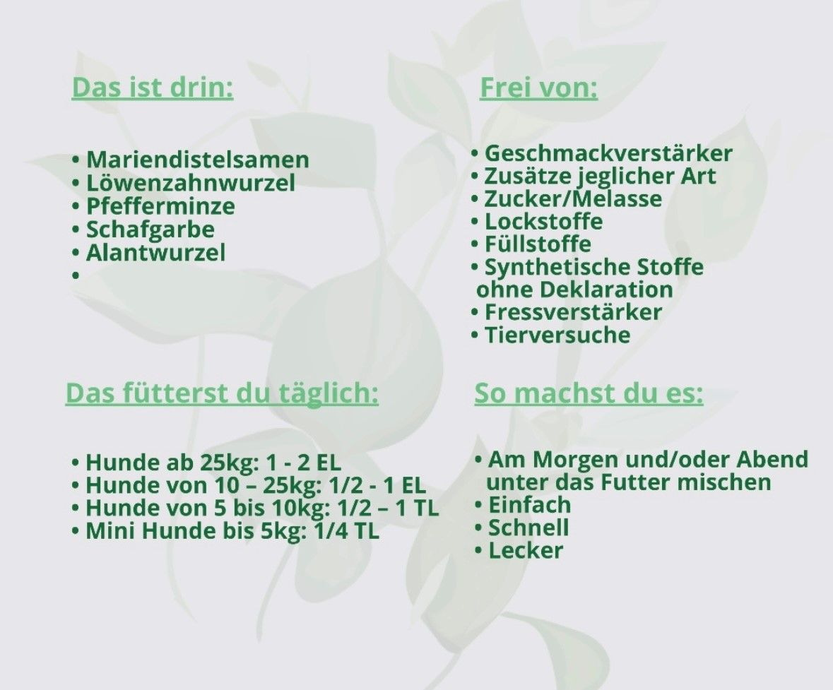 Hand aufs Pferd/Hund Leber Kräuter Sonnenaufgang