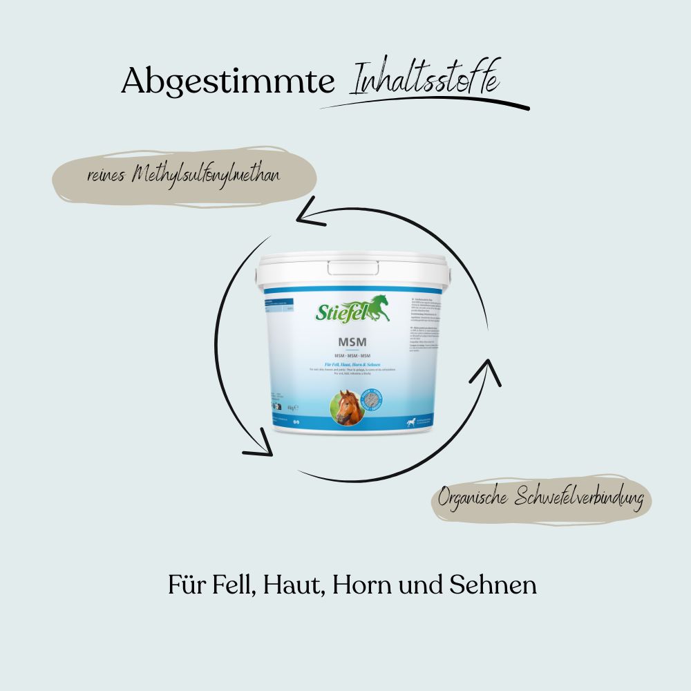 Weißer Eimer mit blauem Deckel. Aufschrift: Stiefel MSM. Text: Für Fell, Haut, Horn und Sehnen. Pfeile umkreisen Inhaltsstoffe.