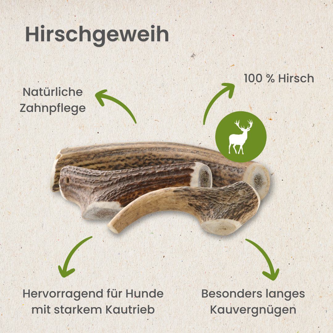 Hirschgeweih-Kauartikel: Natürliche Zahnpflege, 100% Hirsch.
