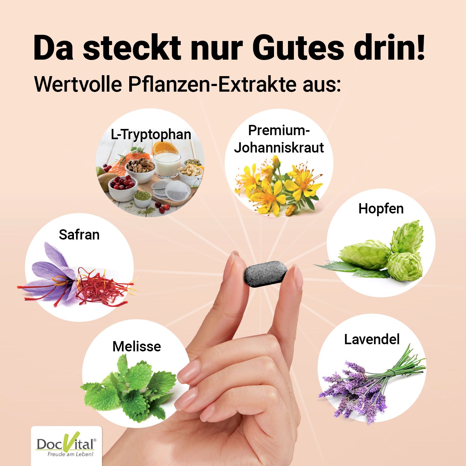 Hand hält Tablette, umgeben von Pflanzen-Extrakten: L-Tryptophan, Johanniskraut, Hopfen, Safran, Melisse, Lavendel. Logo: DocVital.