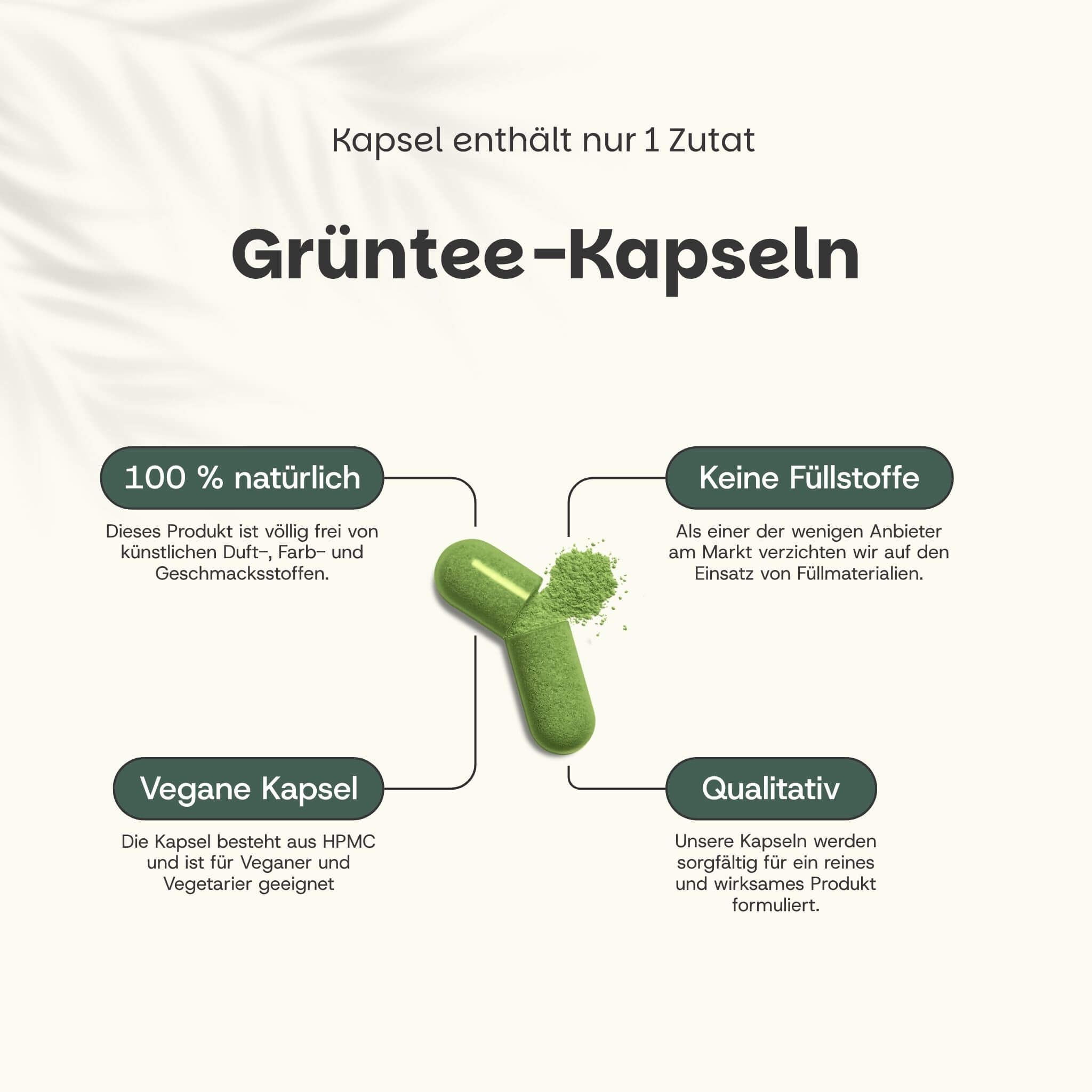 Grüne Kapsel, geöffnet. Text: Grüntee-Kapseln. 100% natürlich, keine Füllstoffe, vegane Kapsel, qualitativ.
