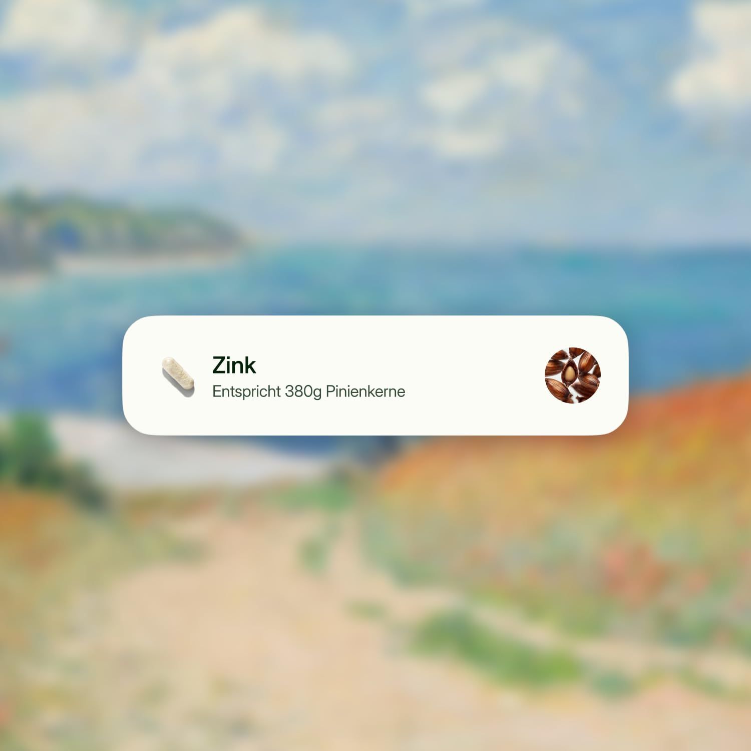 Grafik mit Produktabbildung. "Zink" und "Entspricht 380g Pinienkerne" lesbar. Hintergrund: verschwommene Landschaft.