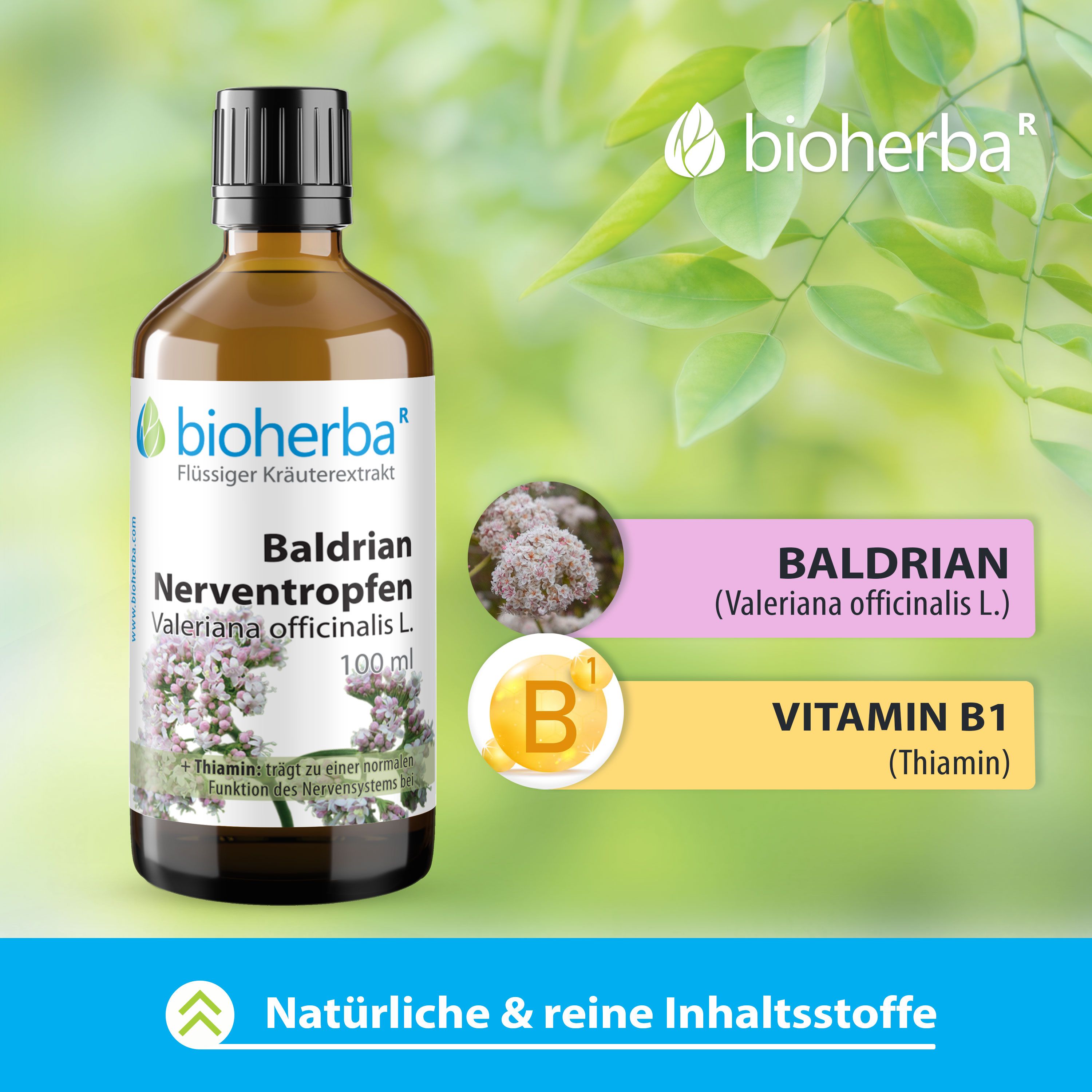 Bioherba Baldrian Nerventropfen Valeriana officinalis L. Tinktur