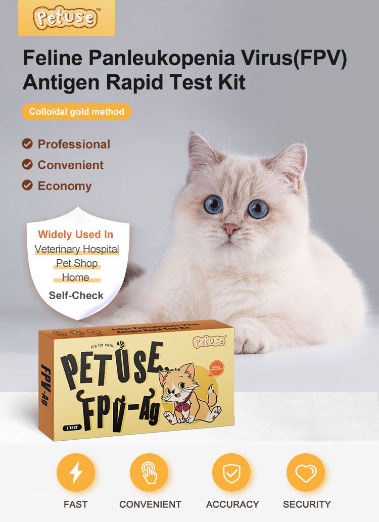 Produktverpackung mit Katze. Aufschrift: Feline Panleukopenie Virus Antigen Rapid Test Kit. Gelbe Box mit Logo und Text.