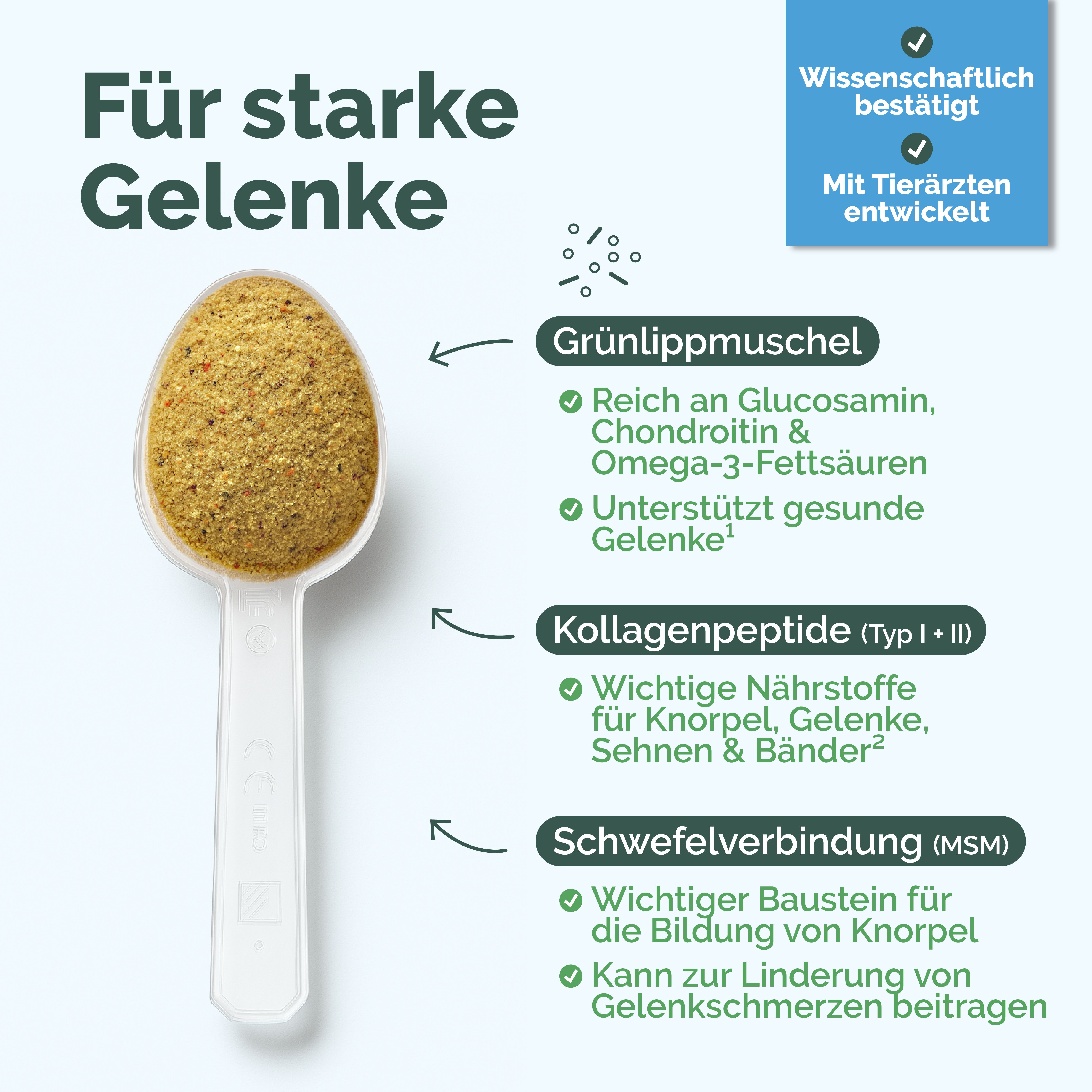 Löffel mit Pulver. Text: Für starke Gelenke. Inhaltsstoffe: Grünlippmuschel, Kollagenpeptide, Schwefelverbindung (MSM). Wissenschaftlich bestätigt, mit Tierärzten entwickelt.