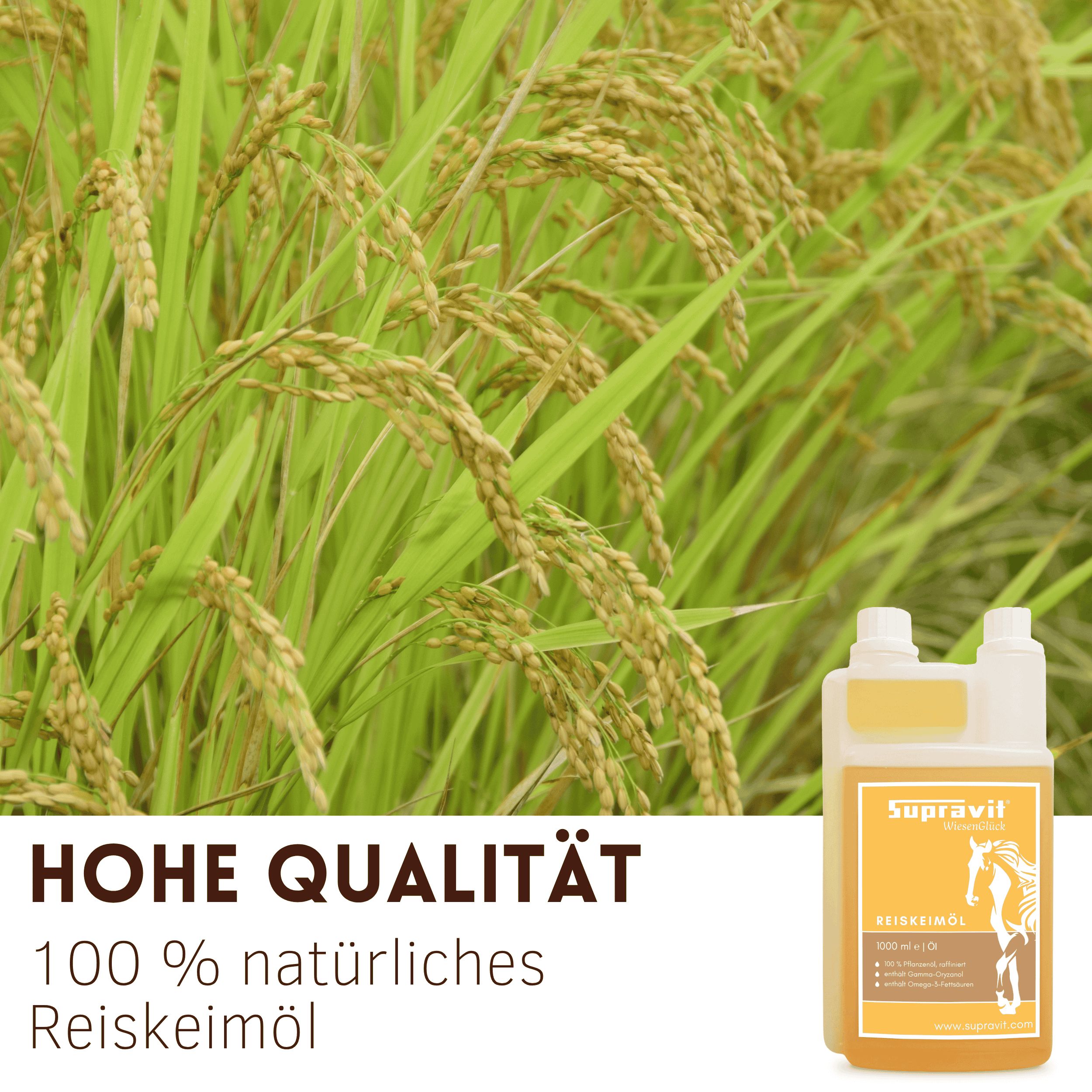 Reisfeld mit Ähren. Rechts Flasche mit gelbem Öl, Etikett mit Logo und Text. Text: Hohe Qualität, 100% natürliches Reiskeimöl.