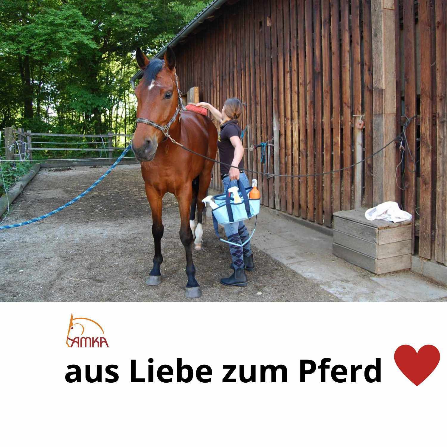 AMKA Classic Wurzelbürste