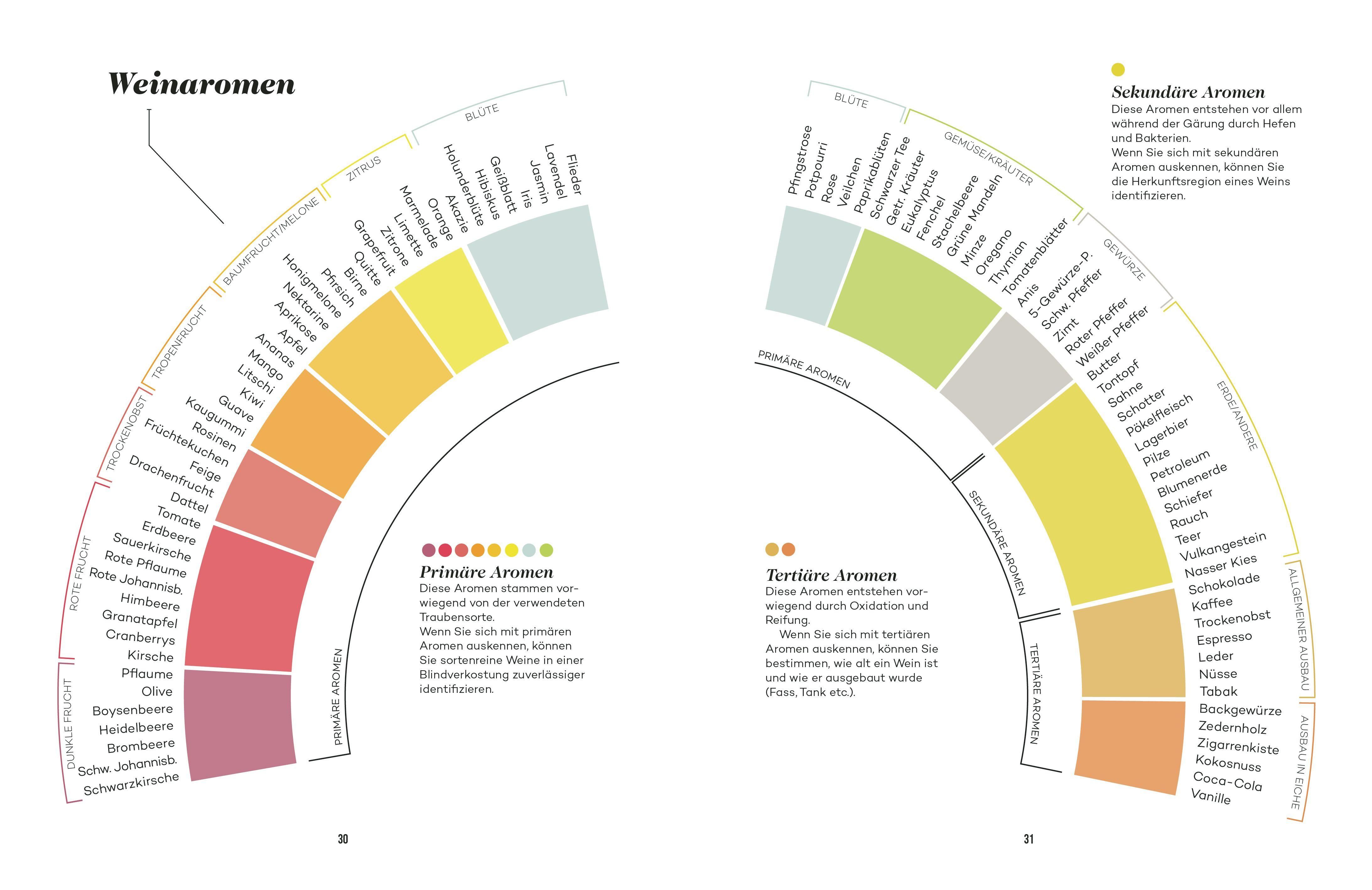 Buchseite mit Wein-Aromen-Diagramm. Aromen in farbigen Kreisen dargestellt. Text in Deutsch.