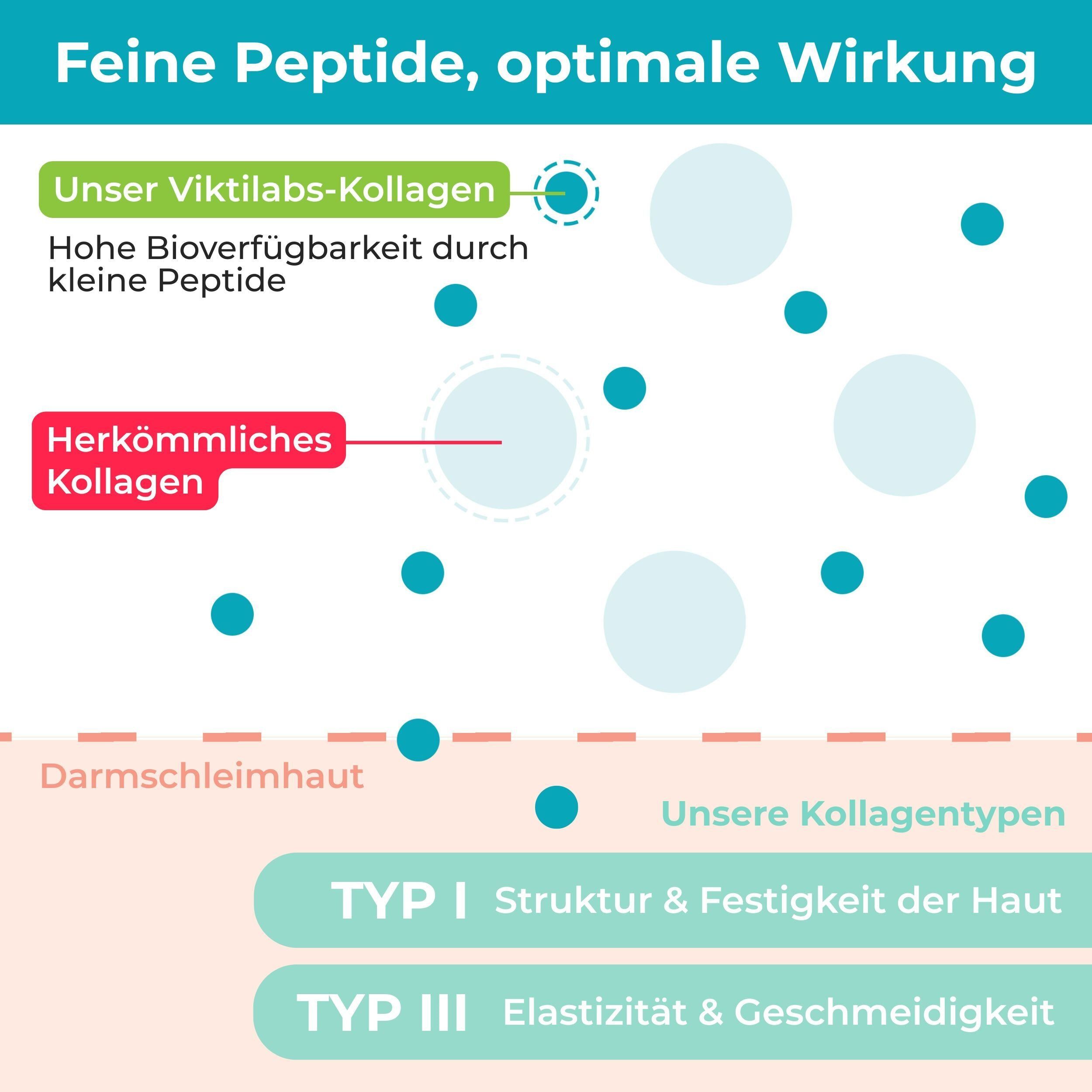 Viktilabs Kollagen Komplex: Bioaktives Hydrolysat aus zertifizierter Grasfütterung